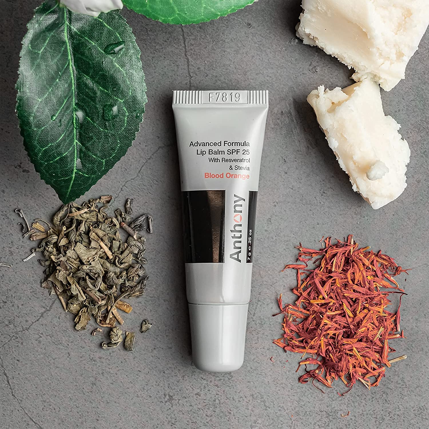Anthony 25 Spf Lip Balm With Sunscreen For Lips - Contains Green Tea Extract, Shea Butter & Vitamin E - Moisturizing Repair Care