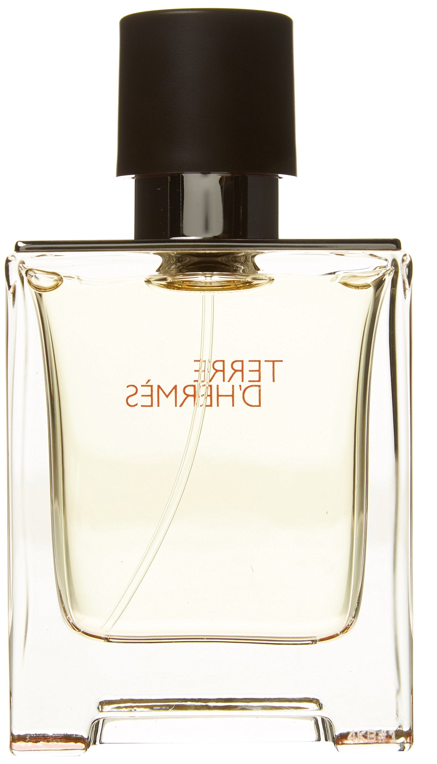Hermes Terre D'Hermes Eau De Toilette Spray, 1.7 Fluid Ounce