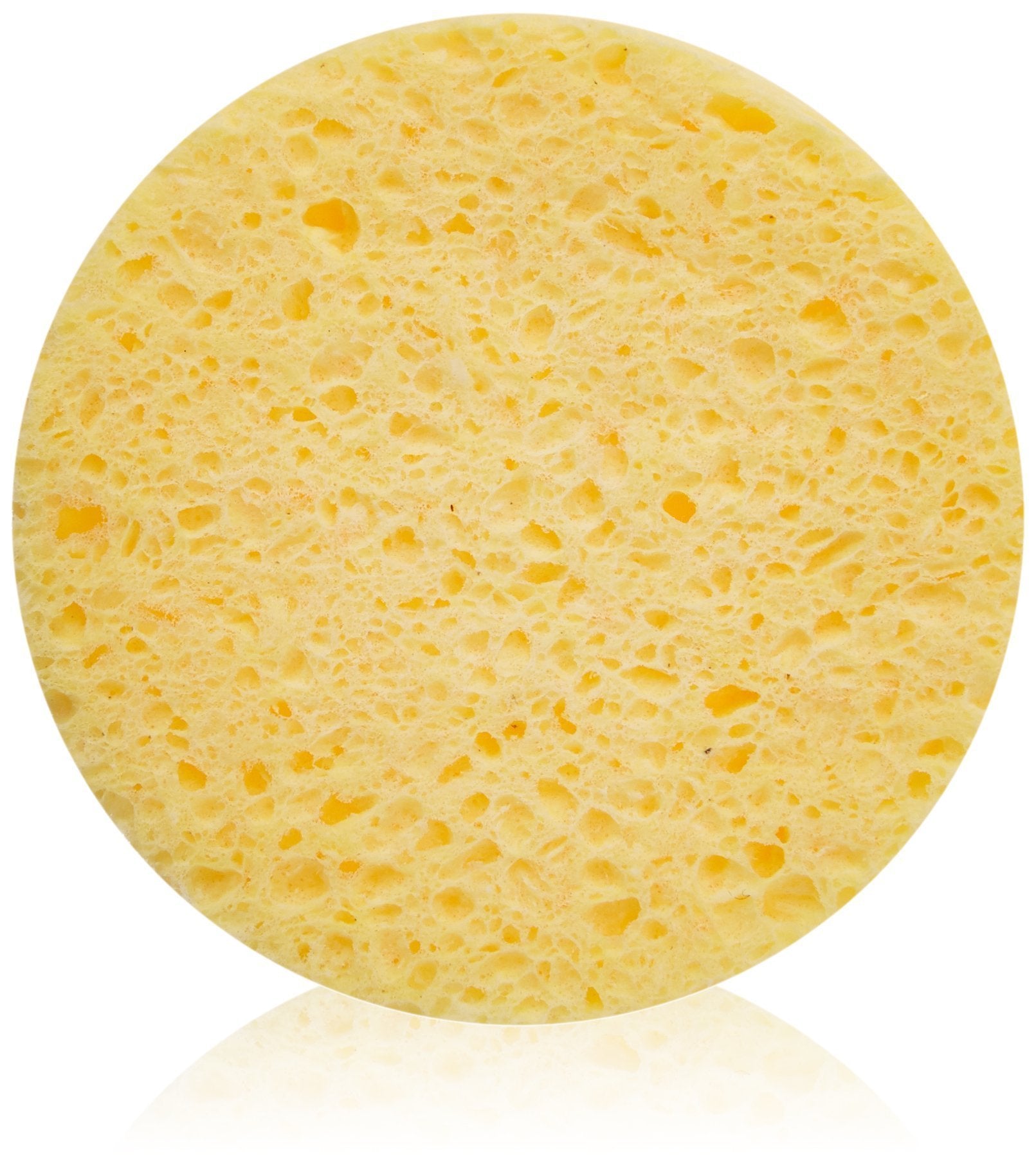 FantaSea Cellulose Cleansing Sponge, 12-Count Bags (Pack of 2)