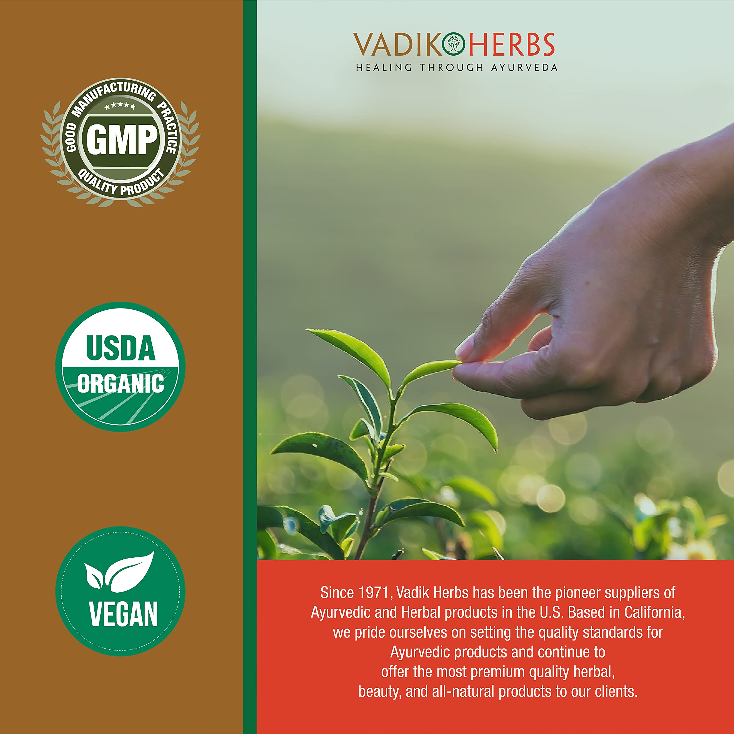 Vadik Herbs Amla Hair Oil (8 oz) Rosemary oil | Herbal scalp treatment | Great for hair loss, balding, thinning of hair, for bea