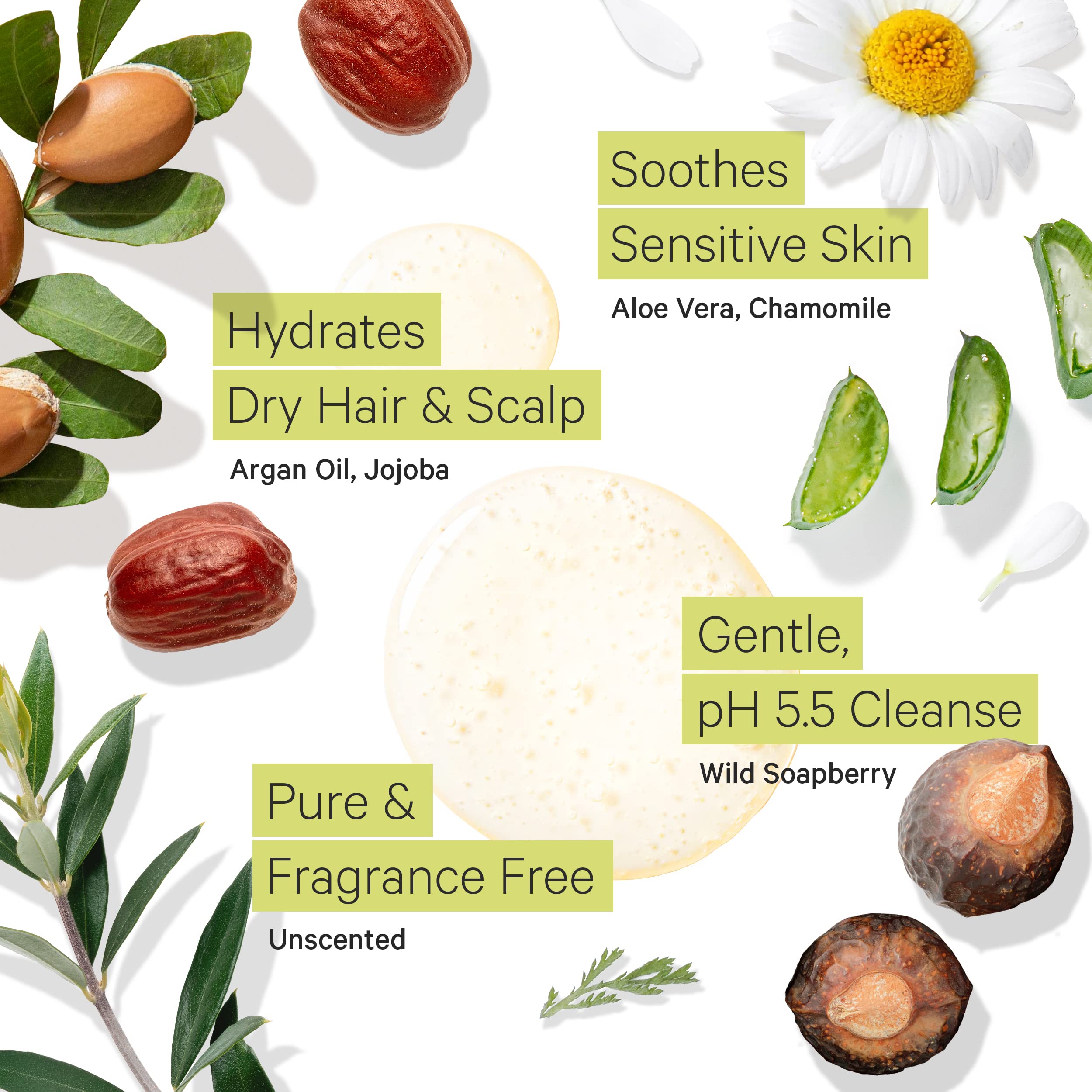 Tree To Tub Fragrance Free Shampoo For Dry & Sensitive Scalp - Gentle Unscented Hydrating Hair Shampoo For Women & Men, Moisturi