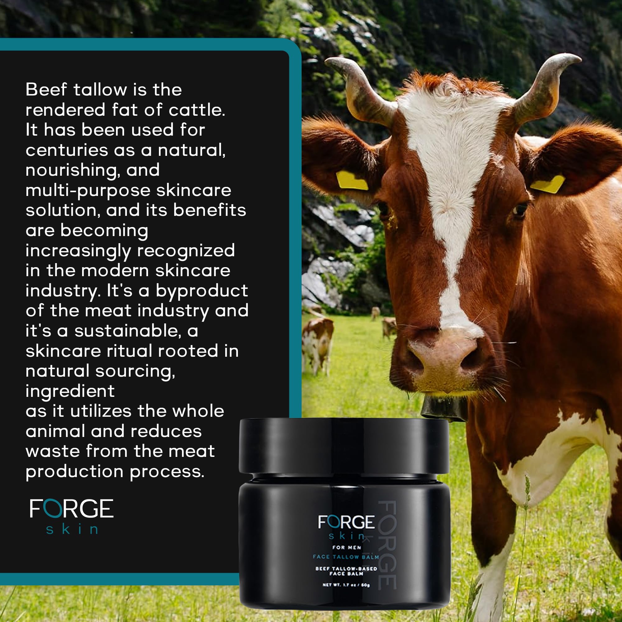 The Forge Skin Men'S Beef Tallow Balm For Skin | Beef Tallow For Skin Face Mens Skin Care Cream Facial Skincare Face Moisturizer