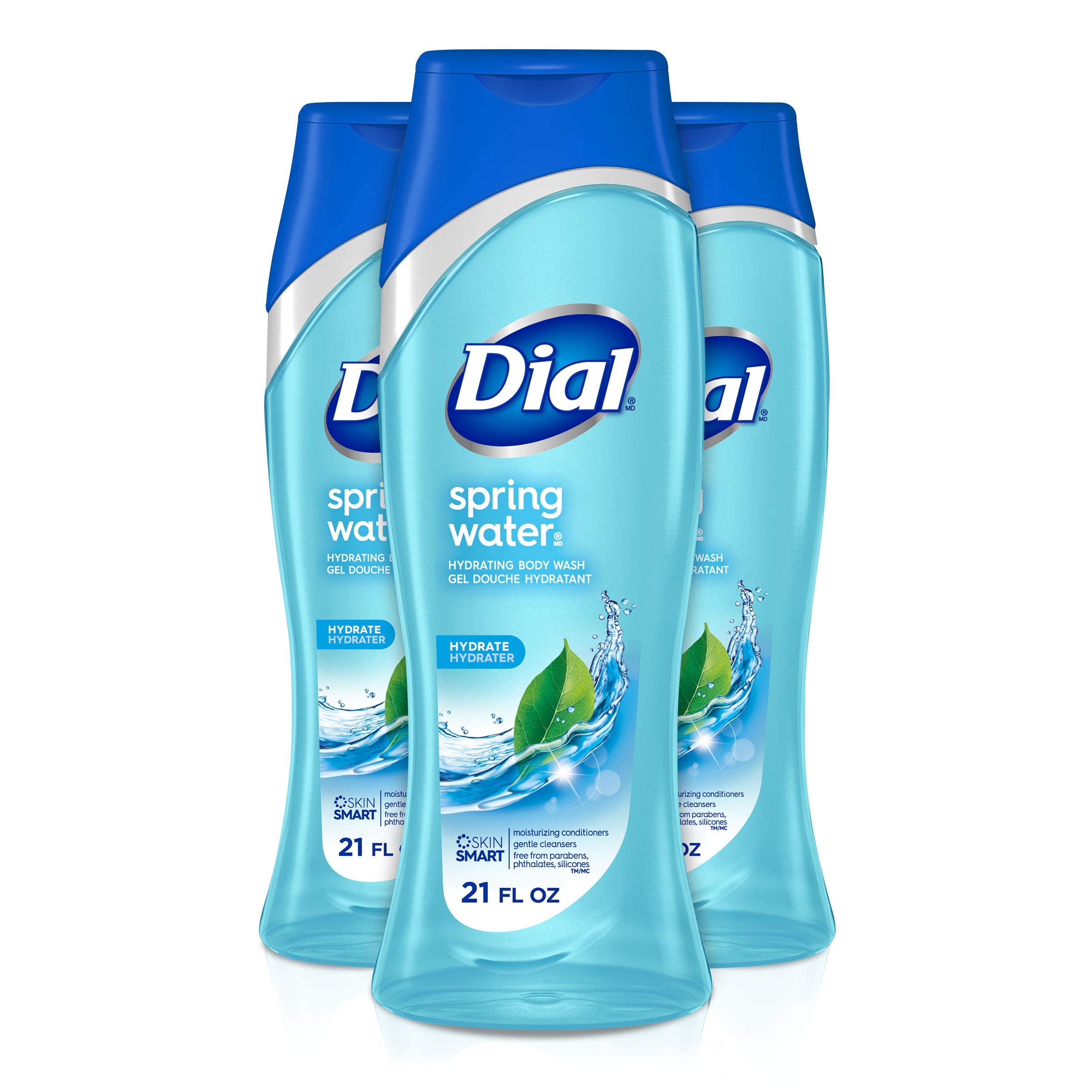 Dial Body Wash, Spring Water With All Day Freshness, 21-Fluid Ounces (Pack Of 3)