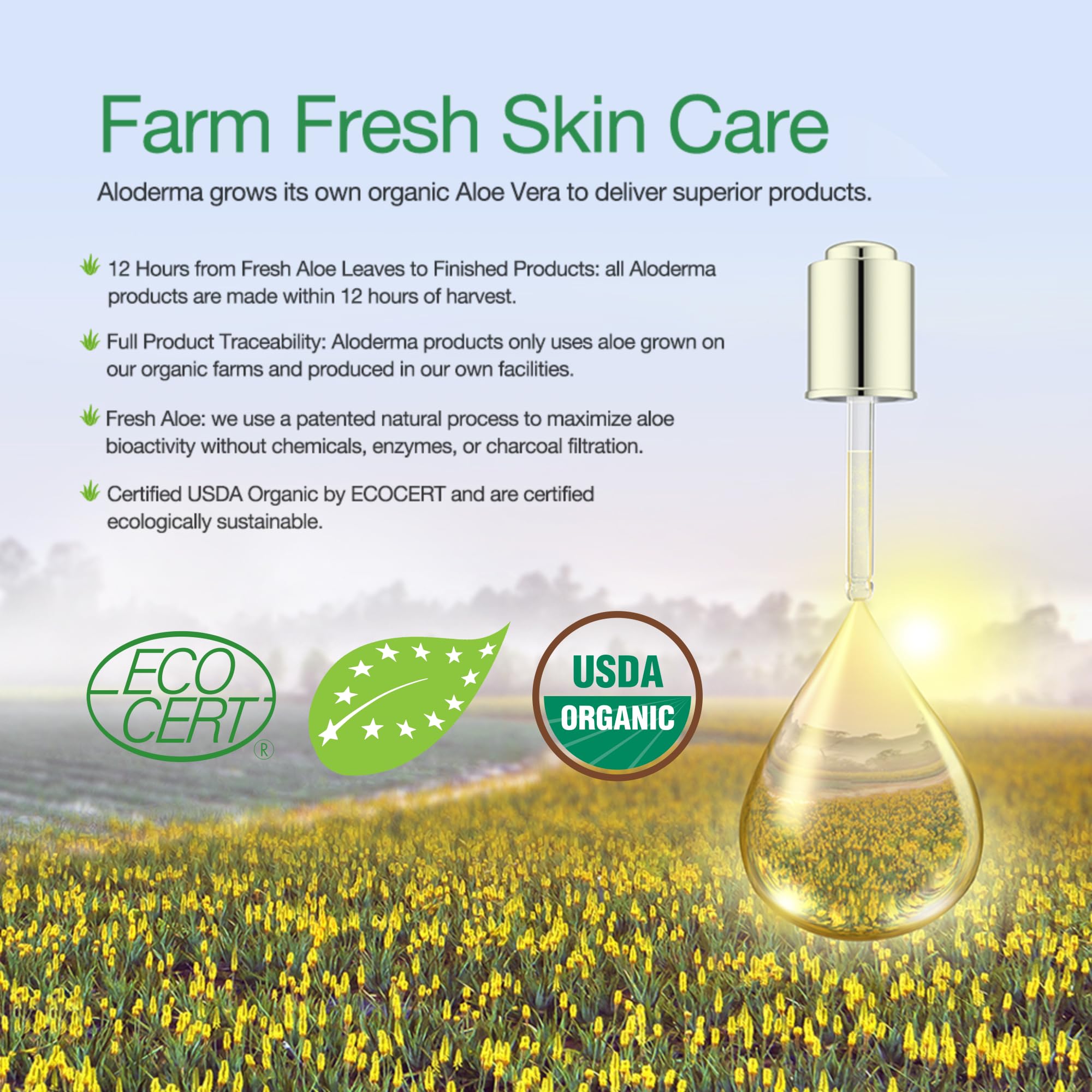 Aloderma 99% Organic Aloe Vera Gel Made Within 12 Hours Of Harvest - Pump Bottle - Lightweight Aloe Gel For Face And Body, Sooth