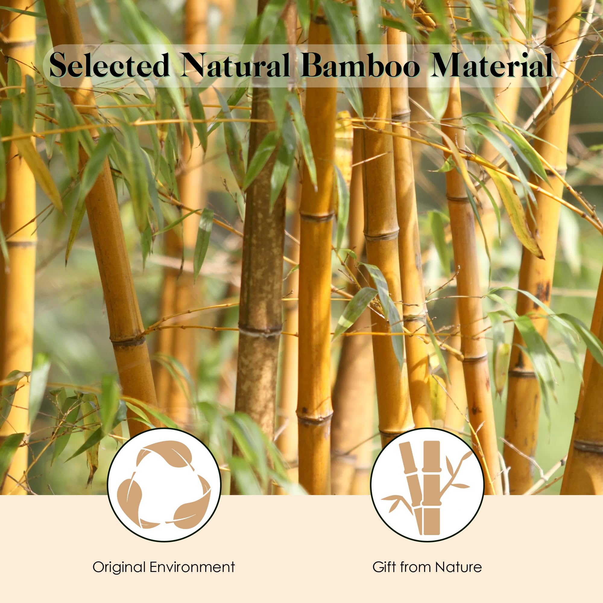 GAINWELL Bamboo Paddle Hair Brush, Natural Bamboo Bristles, Detangling, 1 Count, Yellow, for All Hair Types, Massaging Scalp