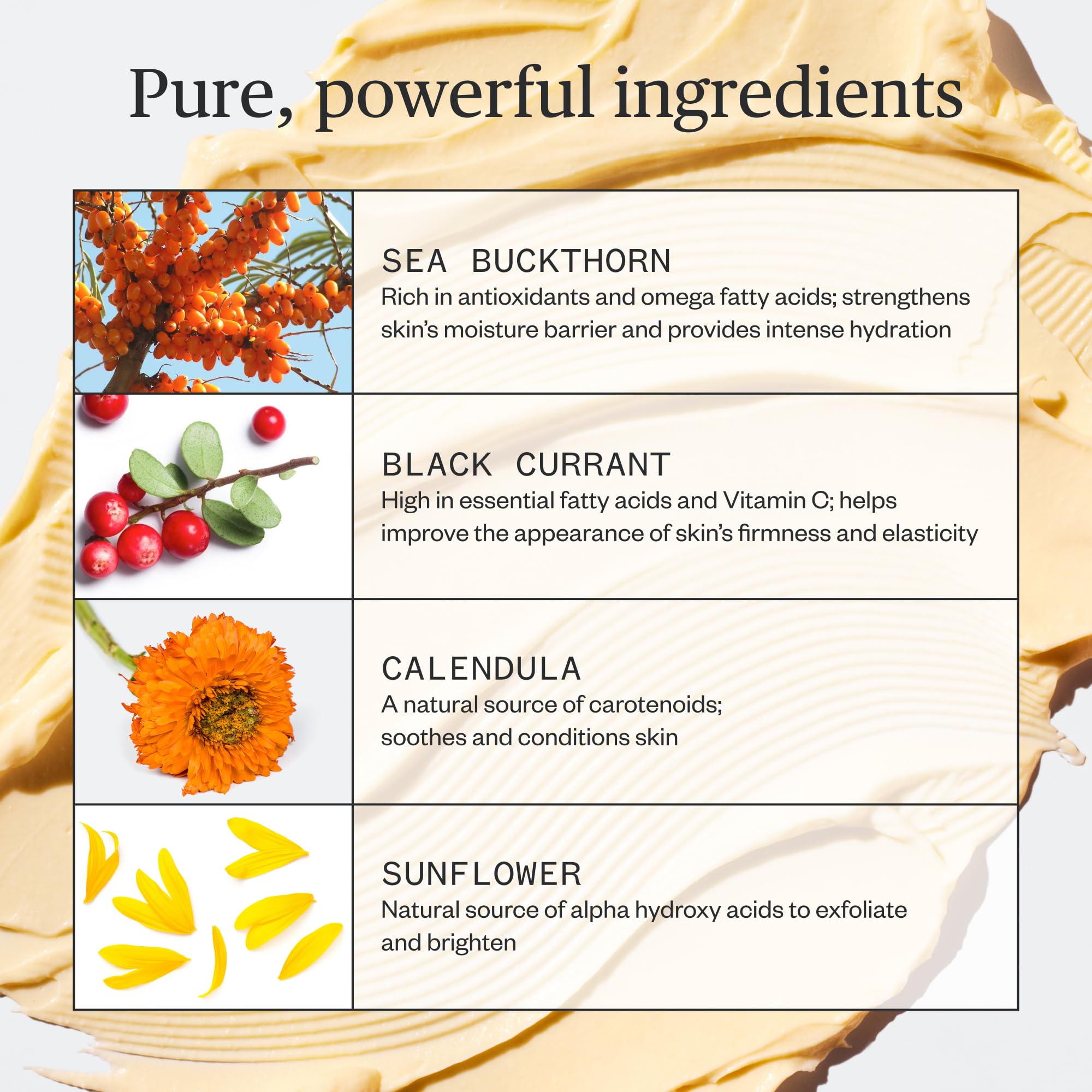Ursa Major Golden Hour Recovery Cream | Natural Face Moisturizer With Calendula And Sea Buckthorn | Vegan, Cruelty-Free, Non-Tox