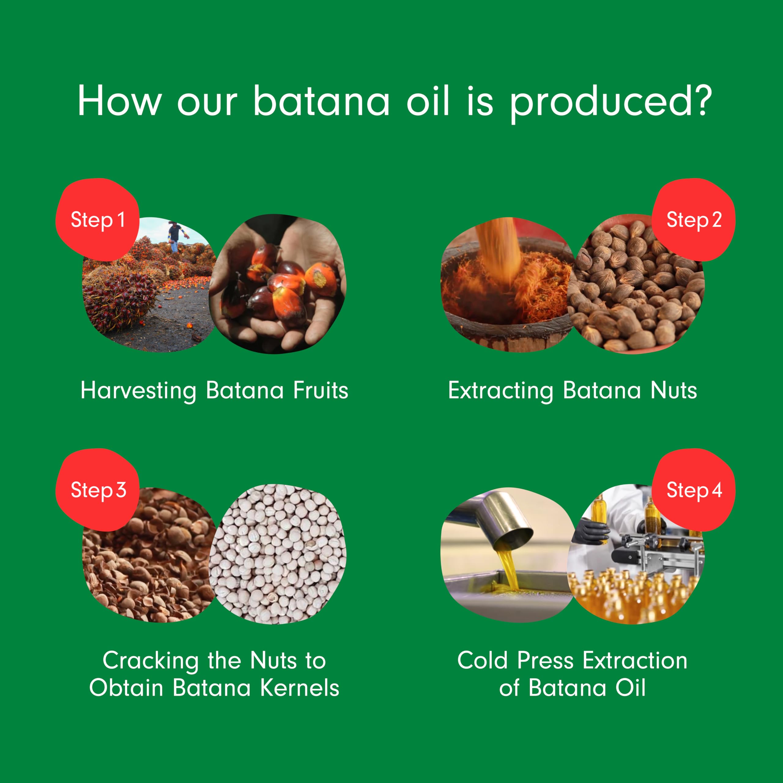 Dersie Batana Oil For Hair Growth: Dr Sebi Organic Raw Batana Oil From Honduras - 100% Pure & Natural - For Thicker & Stronger H