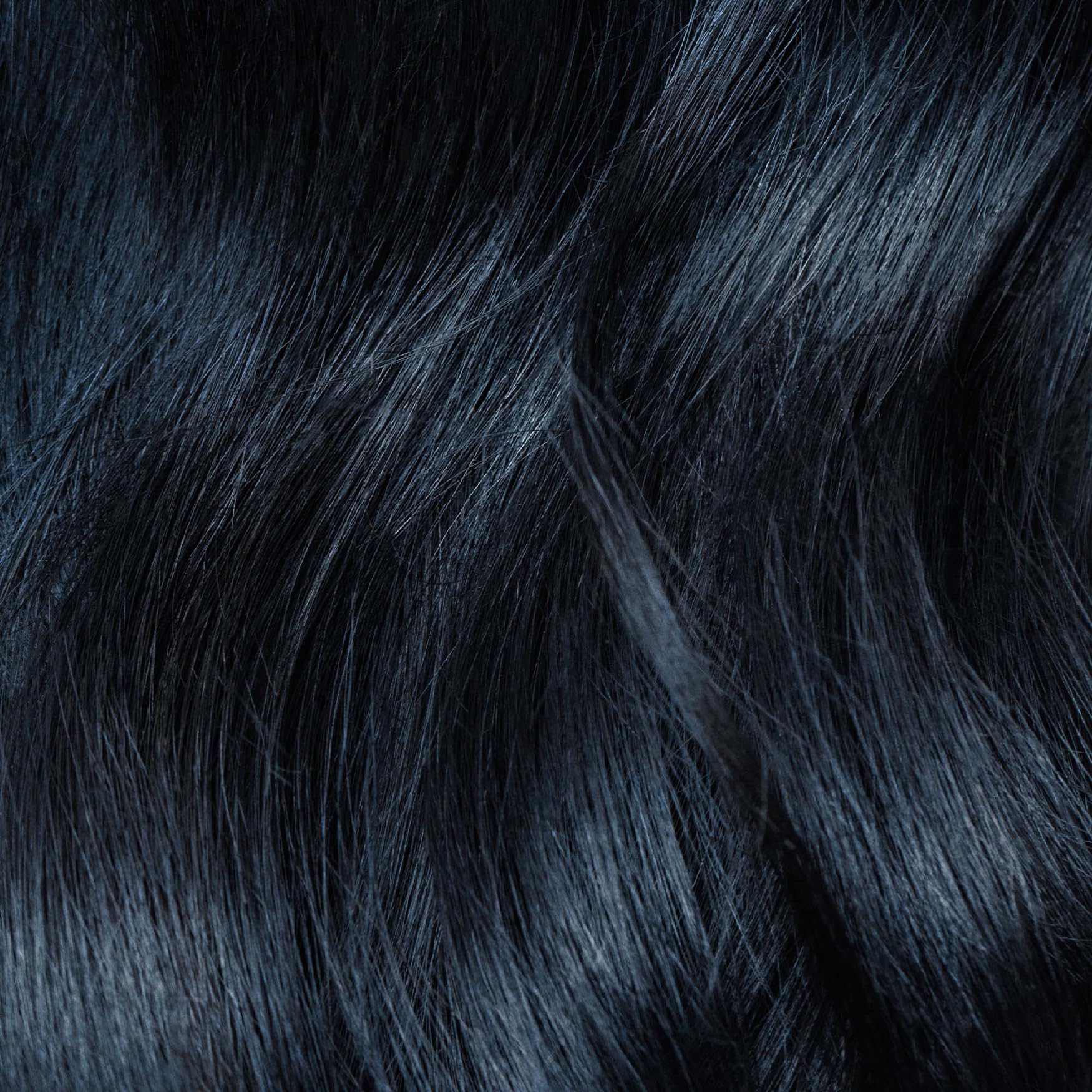 Igk Permanent Color Kit (2-Pack) Moon Dance - Darkest Blue Black 1B | Easy Application + Strengthen + Shine | Vegan + Cruelty Fr
