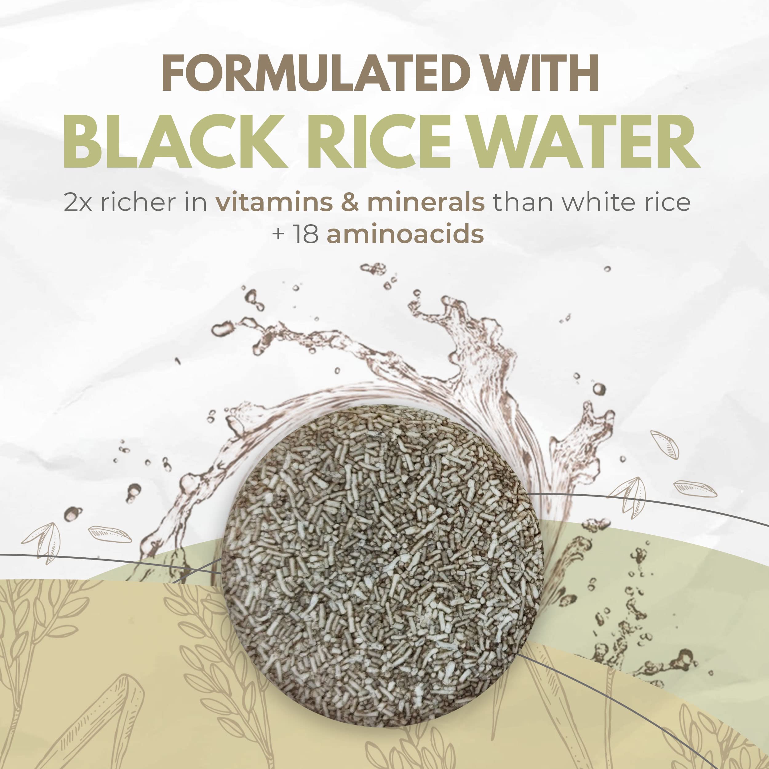 Airnex Black Rice Water Shampoo - Fermented Rice Water, Argan Oil & Murumuru Butter For Hair Growth, Moisture & Shine - Set Of 2