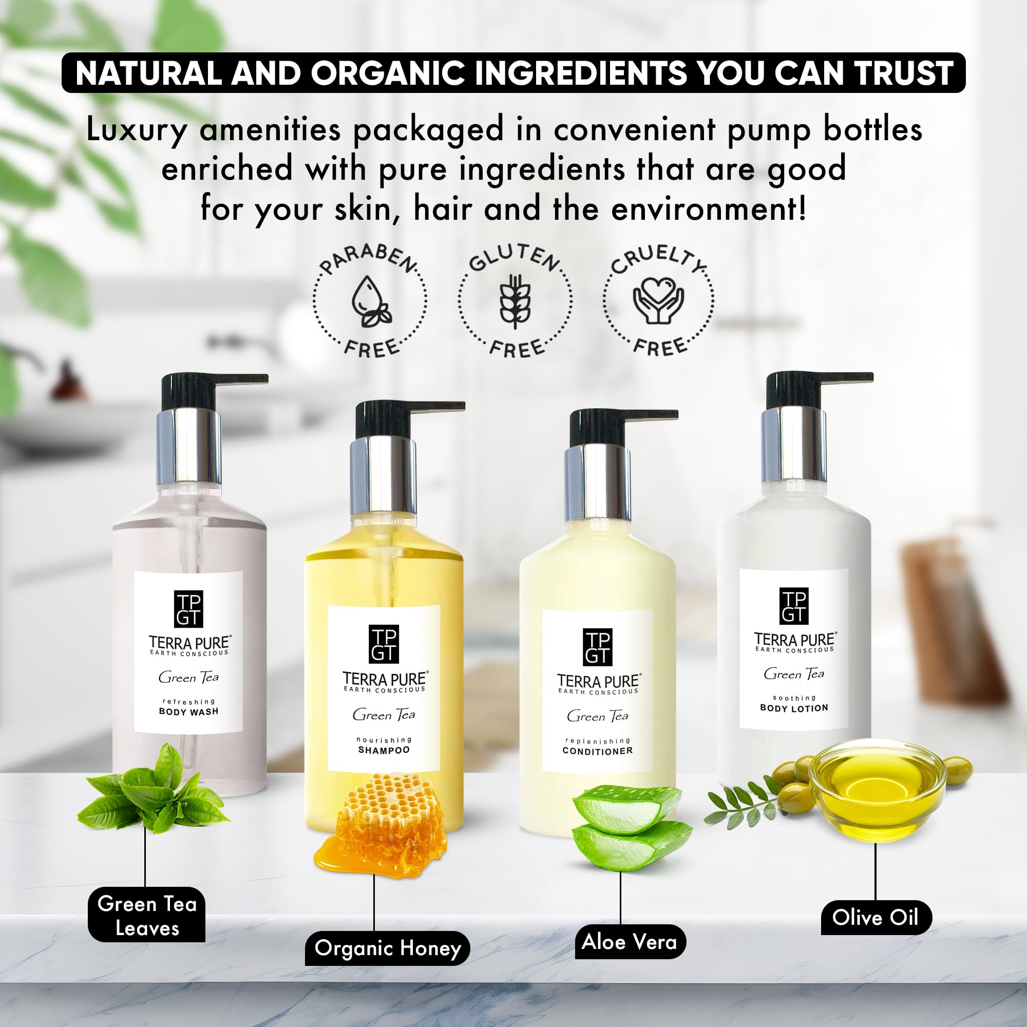 1-Shoppe Terra Pure Ecobox All-In-Kit  Green Tea Soap  1 Shampoo, 1 Conditioner, 1 Body Lotion & 1 Body Wash  10.14Oz Hotel Soap