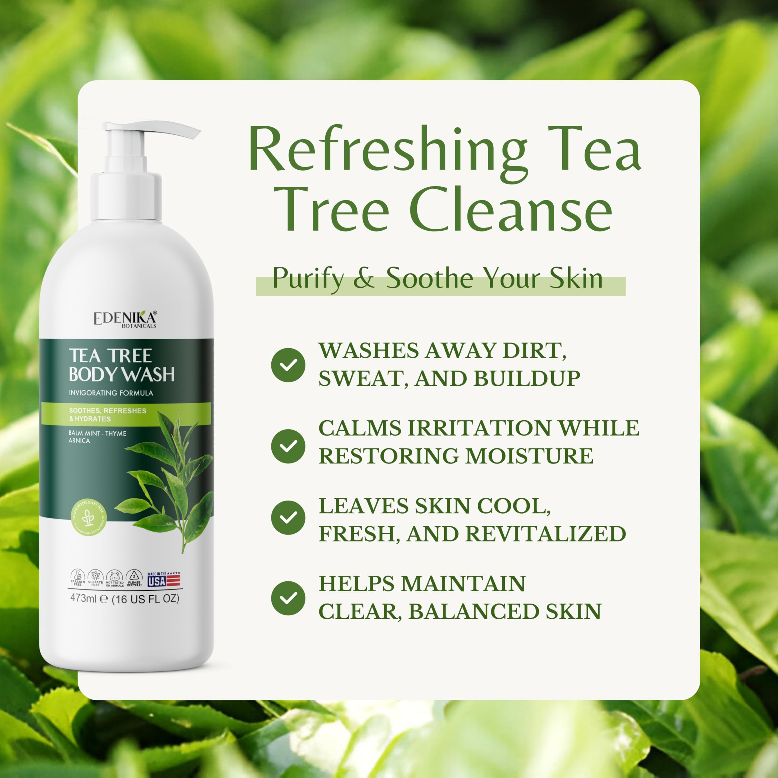 EDENIKA BOTANICALS Tea Tree Oil Body Wash with Mint & Arnica, Helps Soothe Itchy Skin, Jock Itch, Athletes Foot, Eczema & Ringwo