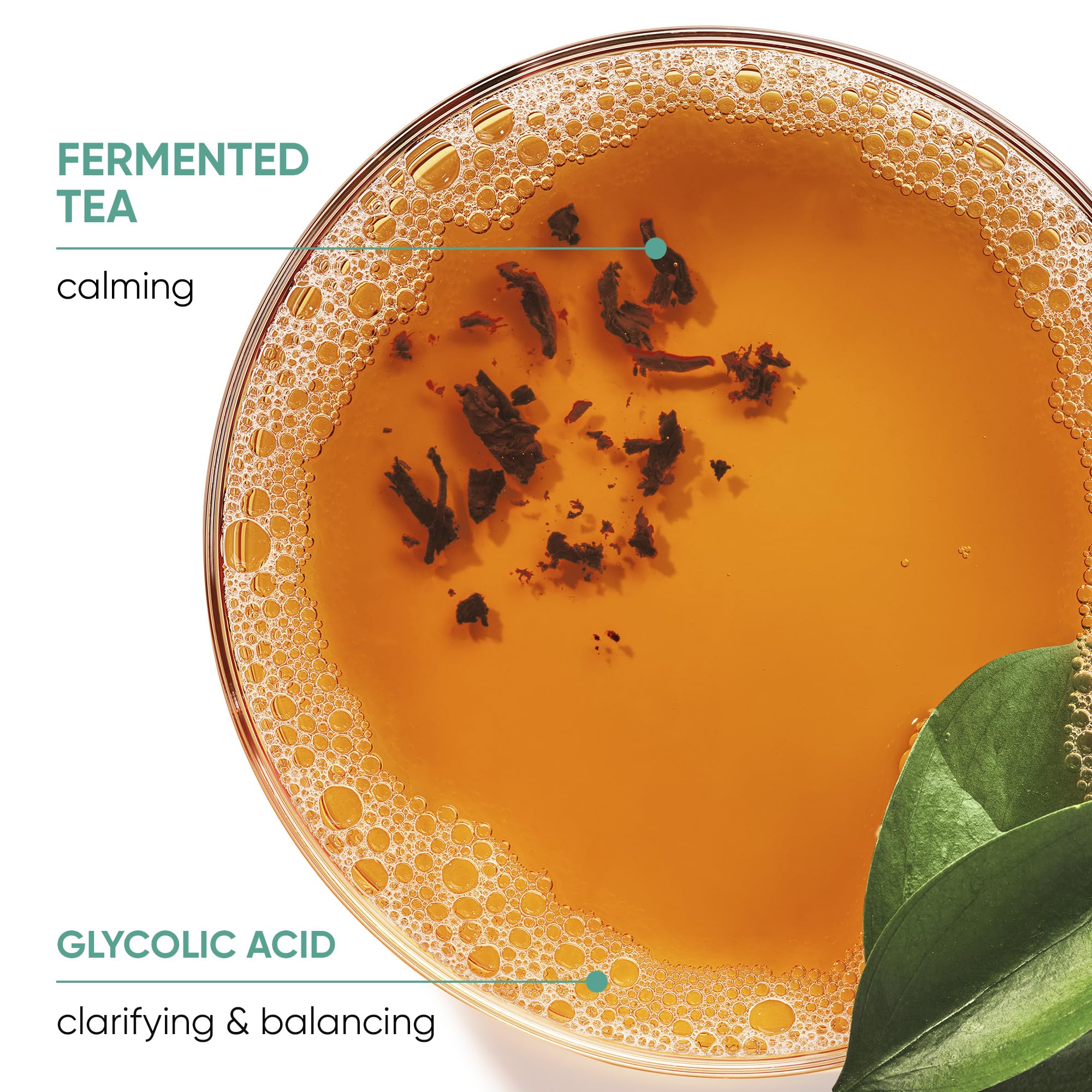 Biolage Scalp Sync Purifying Scalp Concentrate | Exfoliating Pre Shampoo |Clarifies Scalp Buildup | For All Scalp Concerns | Par