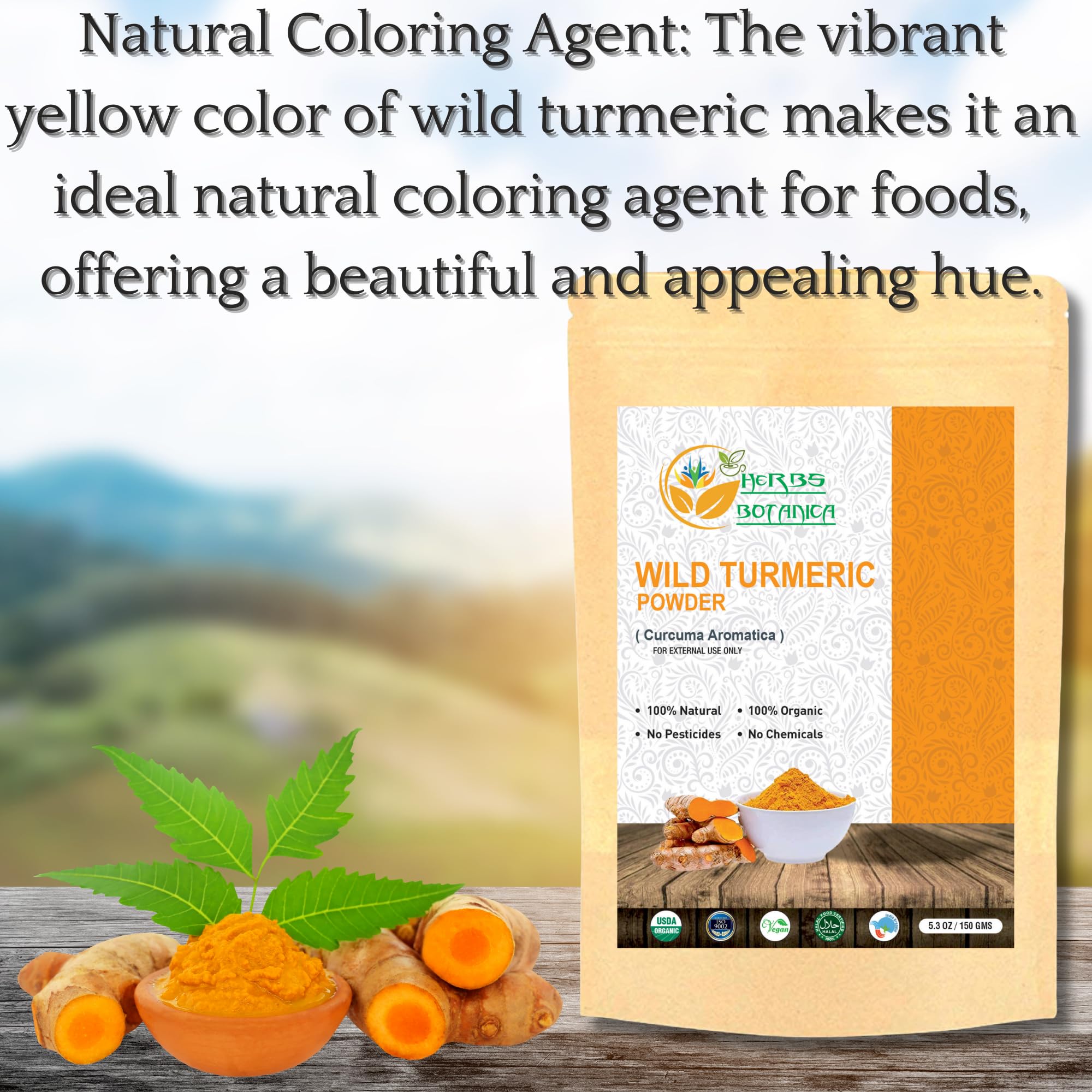 Herbs Botanica Wild Turmeric Powder Exfoliator| Amba Haldi Powder | Kasturi Manjal | Kasturi Turmeric150 Gms / 5.30 Oz