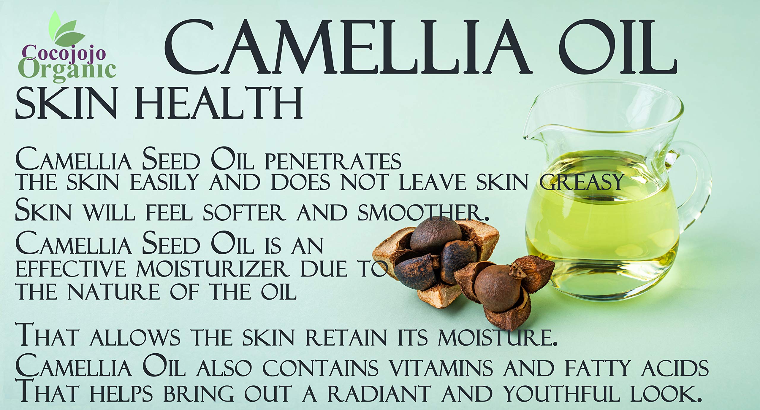 Dr Joe Lab Camellia Seed Oil 128 Oz 100% Pure Natural Cold Pressed Unrefined Extra Virgin Camellia Oil 1 Gallon - For Hair Skin