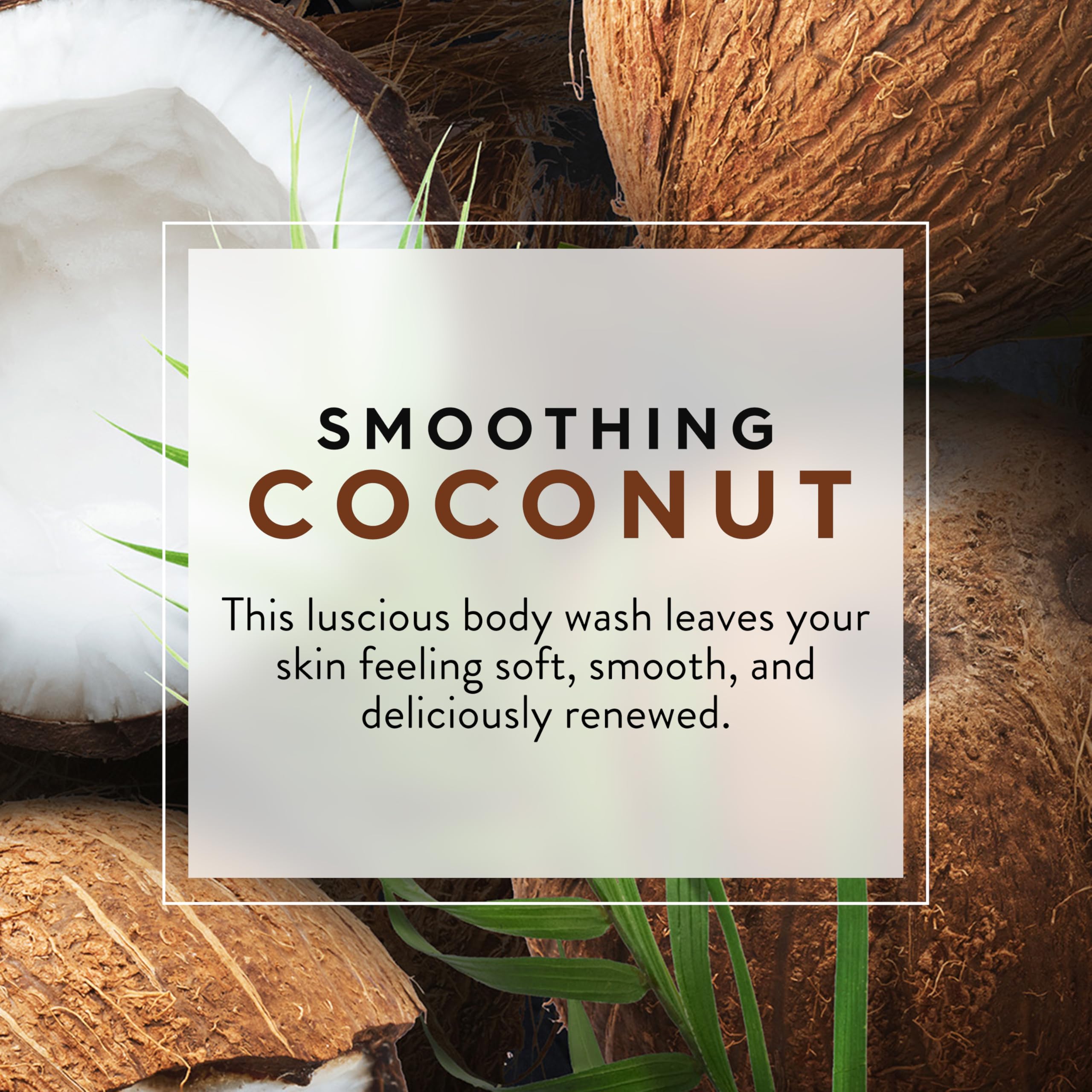 Body Wash,Smthing Coconut, Pack of 3