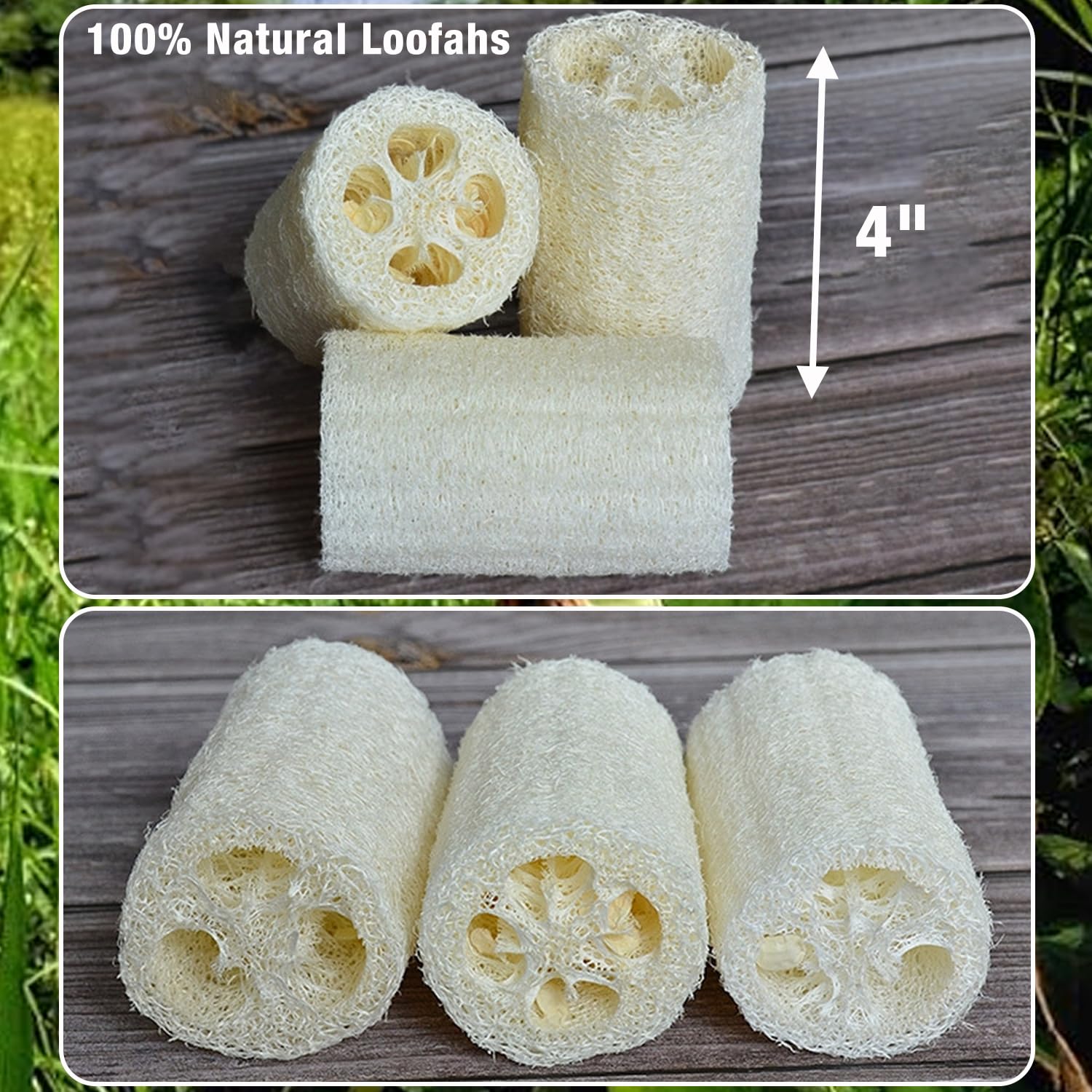 4'' Loofah Sponges Natural Organic Luffa Loofah Bath Sponge Exfoliating Shower Body Sponge Scrubber, Pack Of 6