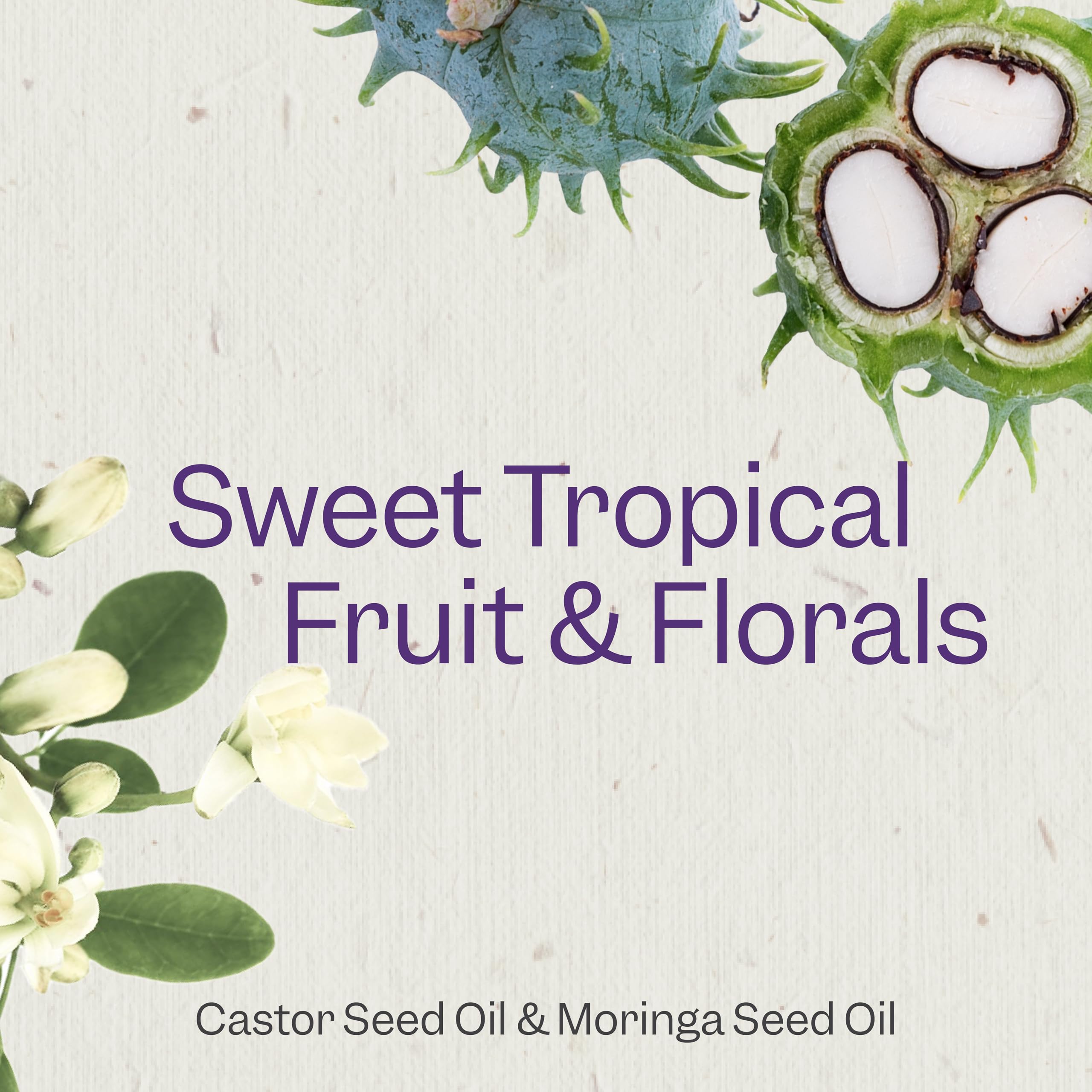 Renpure Castor Oil & Moringa Curl Enhancing Conditioner - For Moisturized, Detangled & Frizz-Free Curls - With Castor Oil & Mori