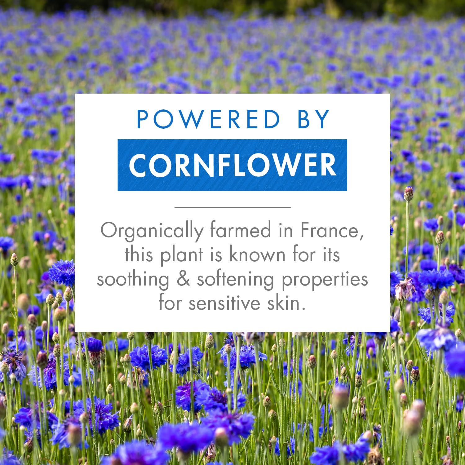 Klorane - Waterproof Eye Makeup Remover With Organically Farmed Cornflower - Sensitive Skin Approved -Fragrance Free & Paraben-F