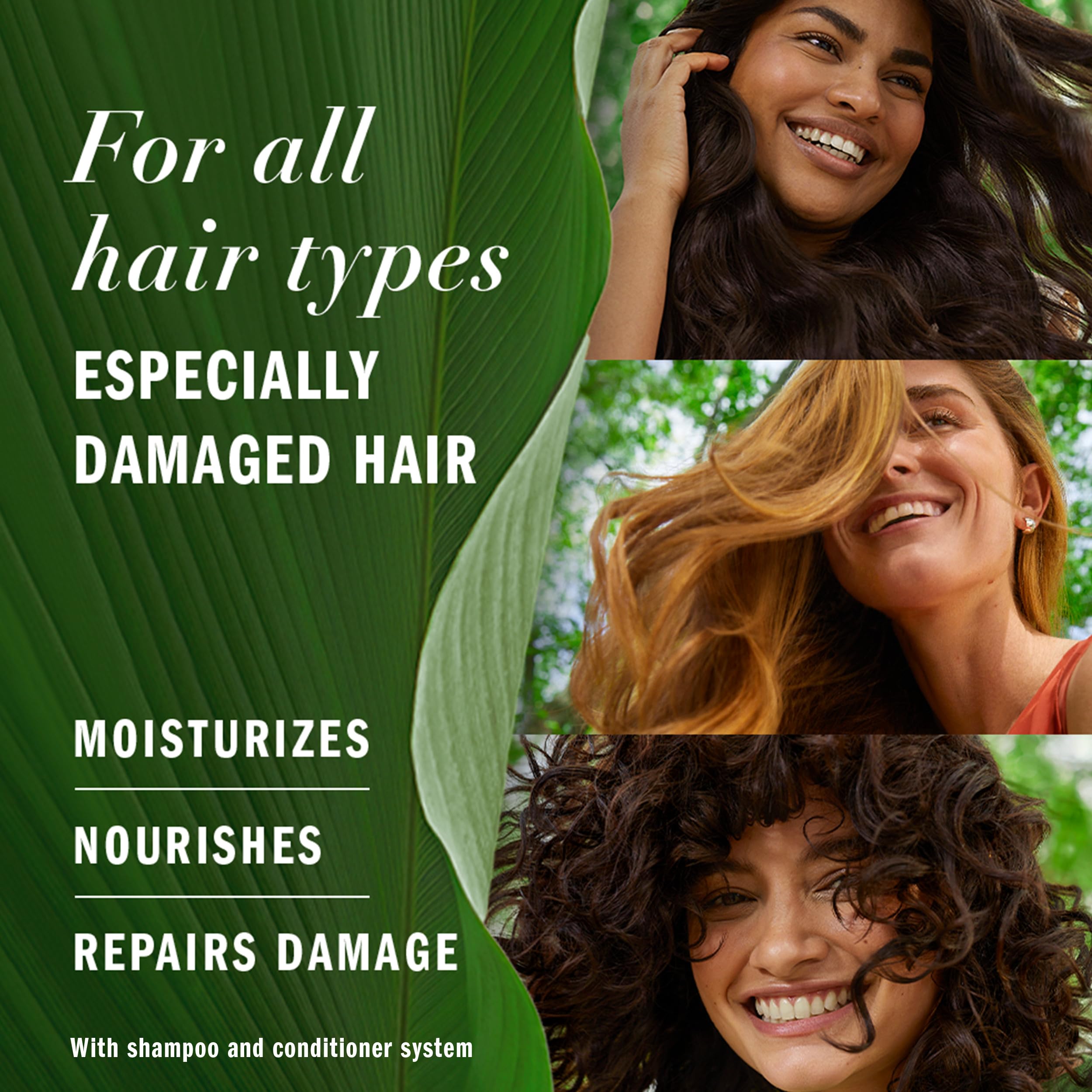Herbal Essences Conditioner Argan Oil 13.5 Ounce (400ml) (Pack of 2)