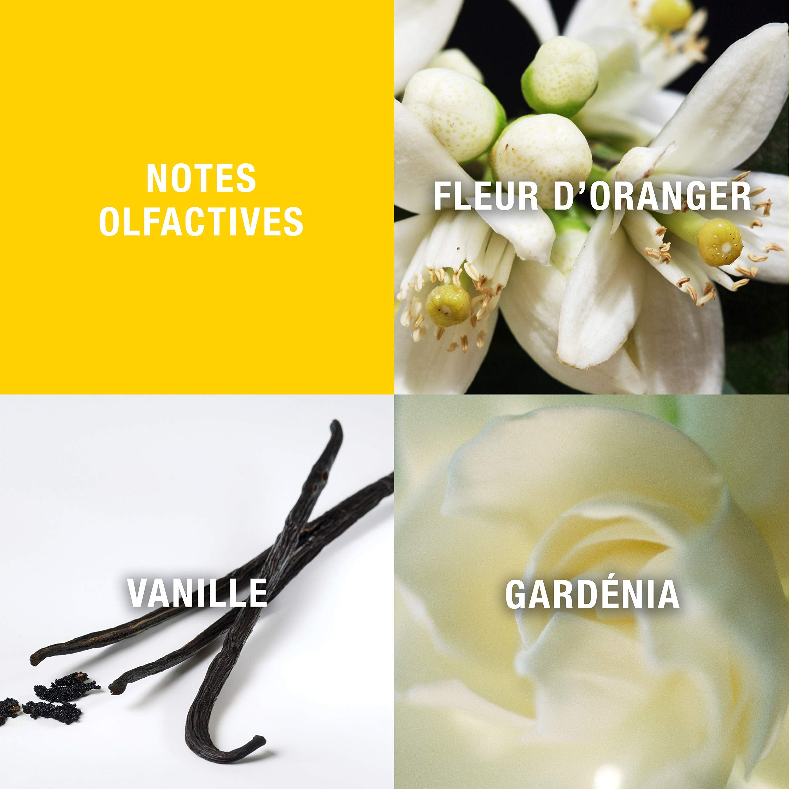 Giorgio Beverly Hills Women'S Perfume, Eau De Toilette Edt Spray, 3 Fl Oz