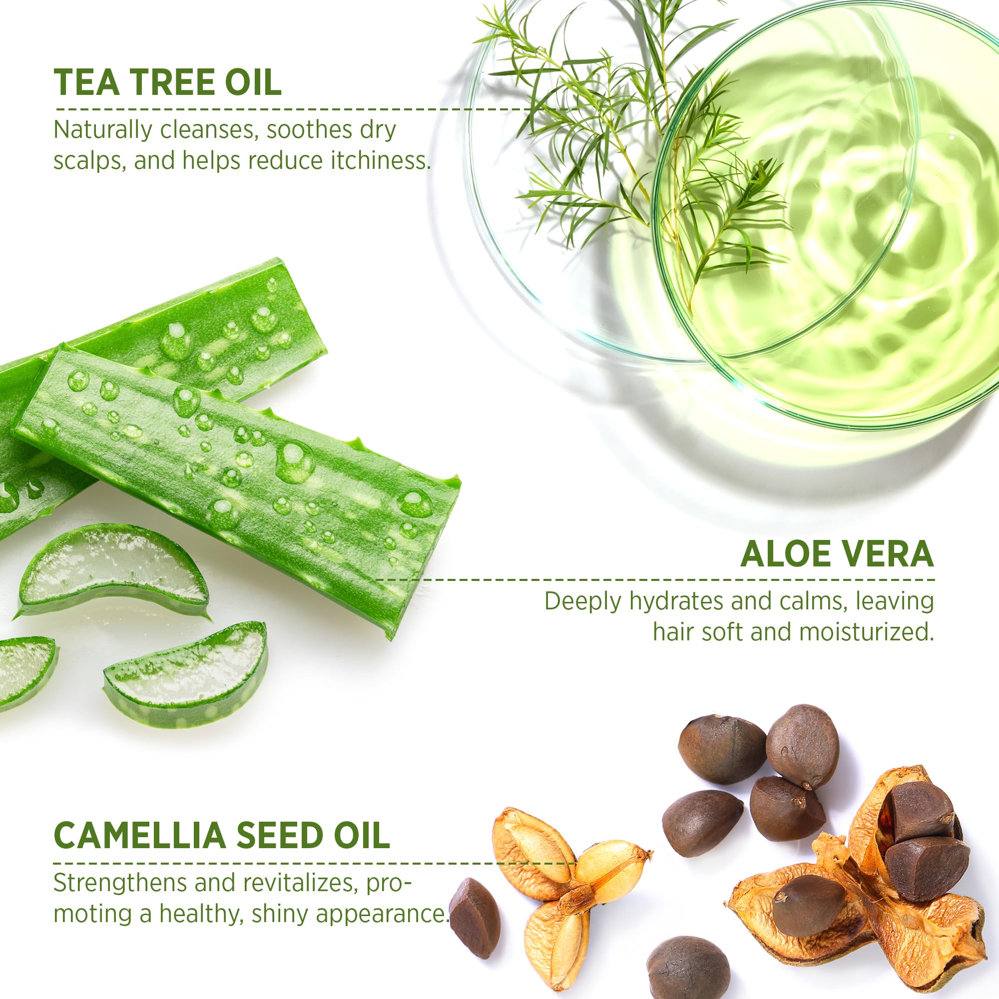Roycederm Tea Tree Therapeutic Conditioner: Hydrating Conditioner For Itchy, Flaky Scalp - Soothing Botanical Formula With Tea T