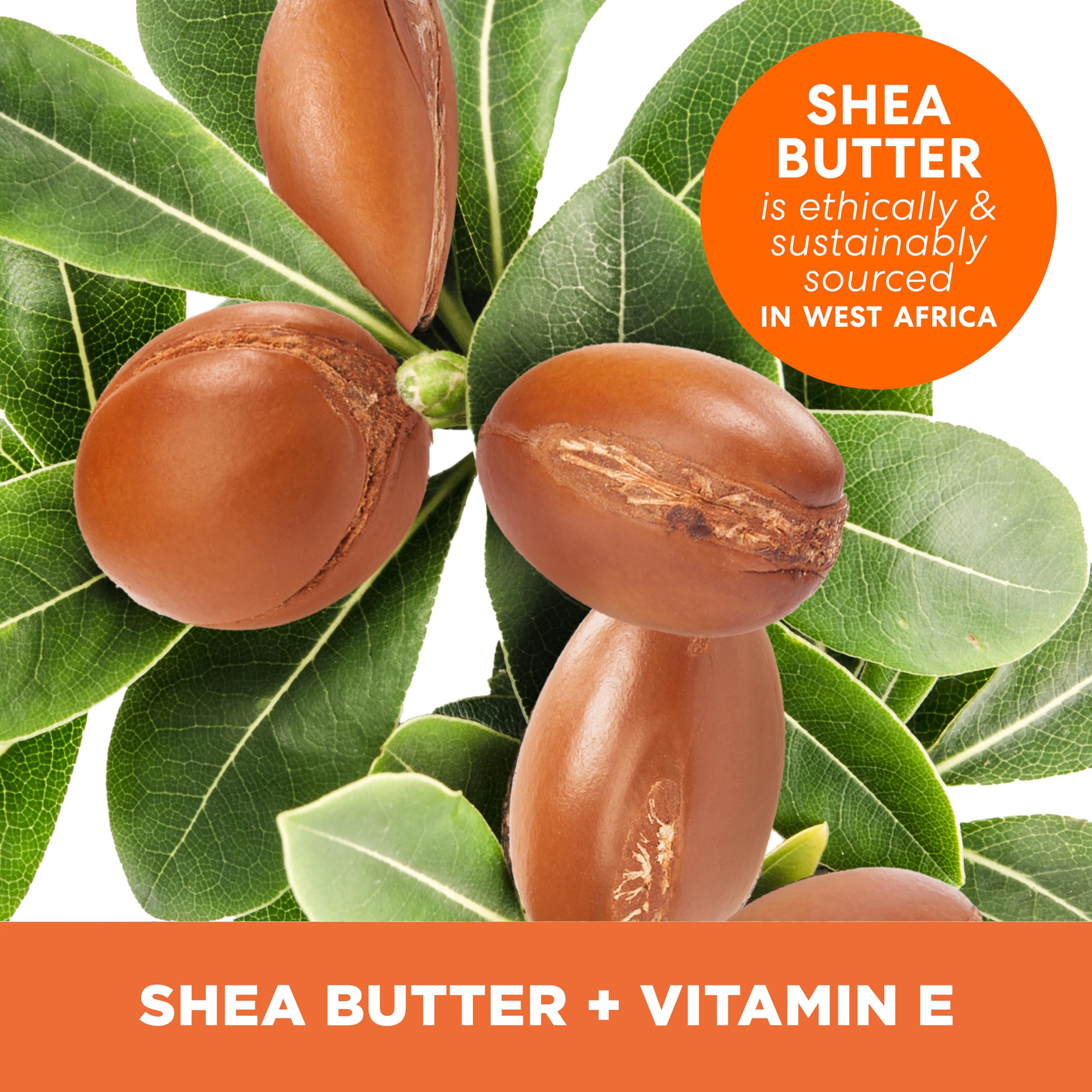 Palmers Shea Butter Formula Raw African Shea Butter Balm, Nourishing Body Moisturizer For Rough, Dry Skin, 7.25 Ounces