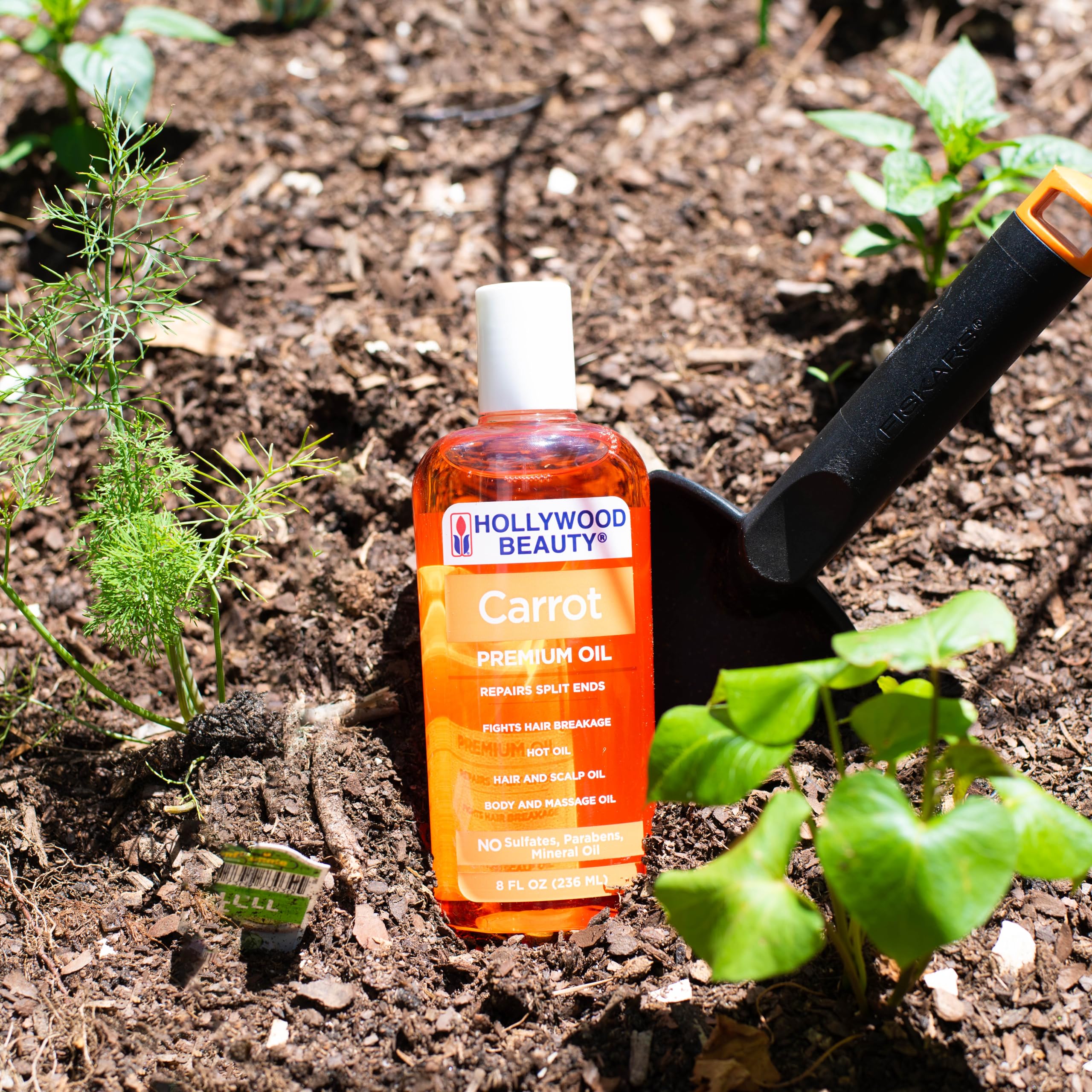 Hollywood Beauty Carrot Hair Oil, 8oz Bottle, Hair, Scalp, Skin, Nail, & Massage Oil, Helps Repair Damaged Hair & Skin, Can be U