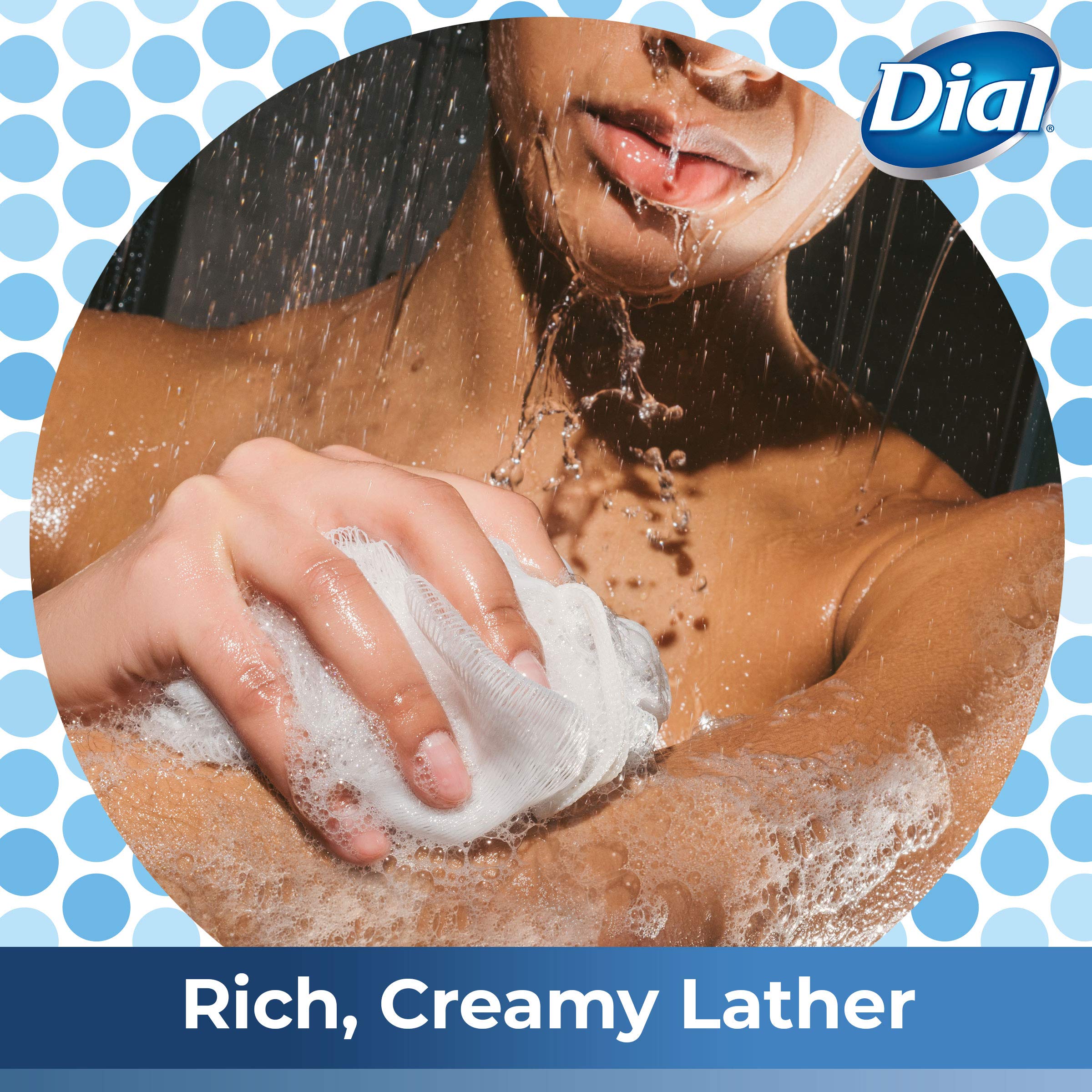 Dial Body Wash, Lavender & Jasmine, 21 Ounces (Count Of 3)