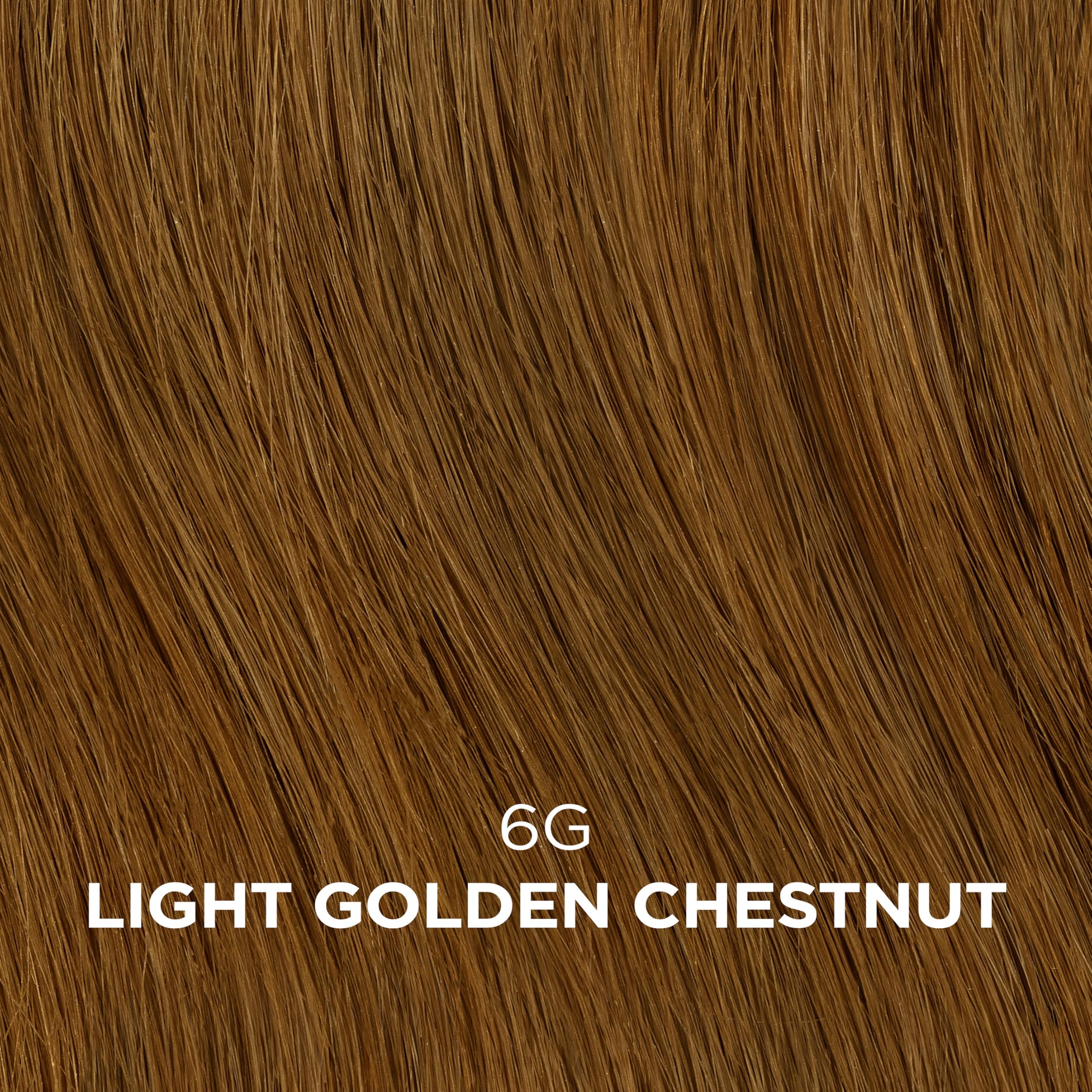 Clairol Professional Beautiful Collection Advanced Gray Solutions, 6G Light Golden Chestnut, 3 oz. - Packaging May Vary