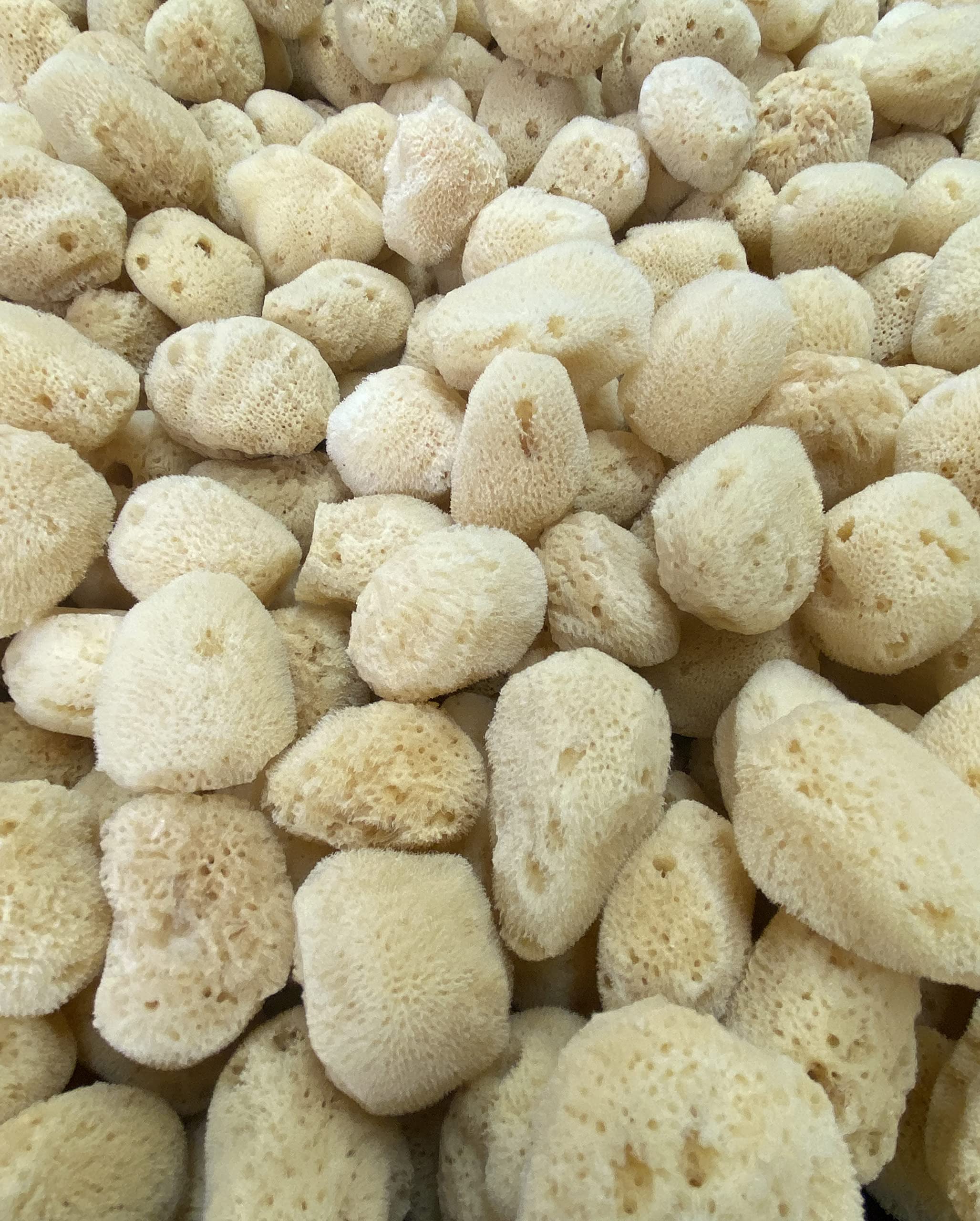 Soft Natural 6 Silk Sponges 1.5''-3'' Cosmetic Makeup Application Removal Face Eye Nail Cleaning Like Cotton Balls Awesome Aquat