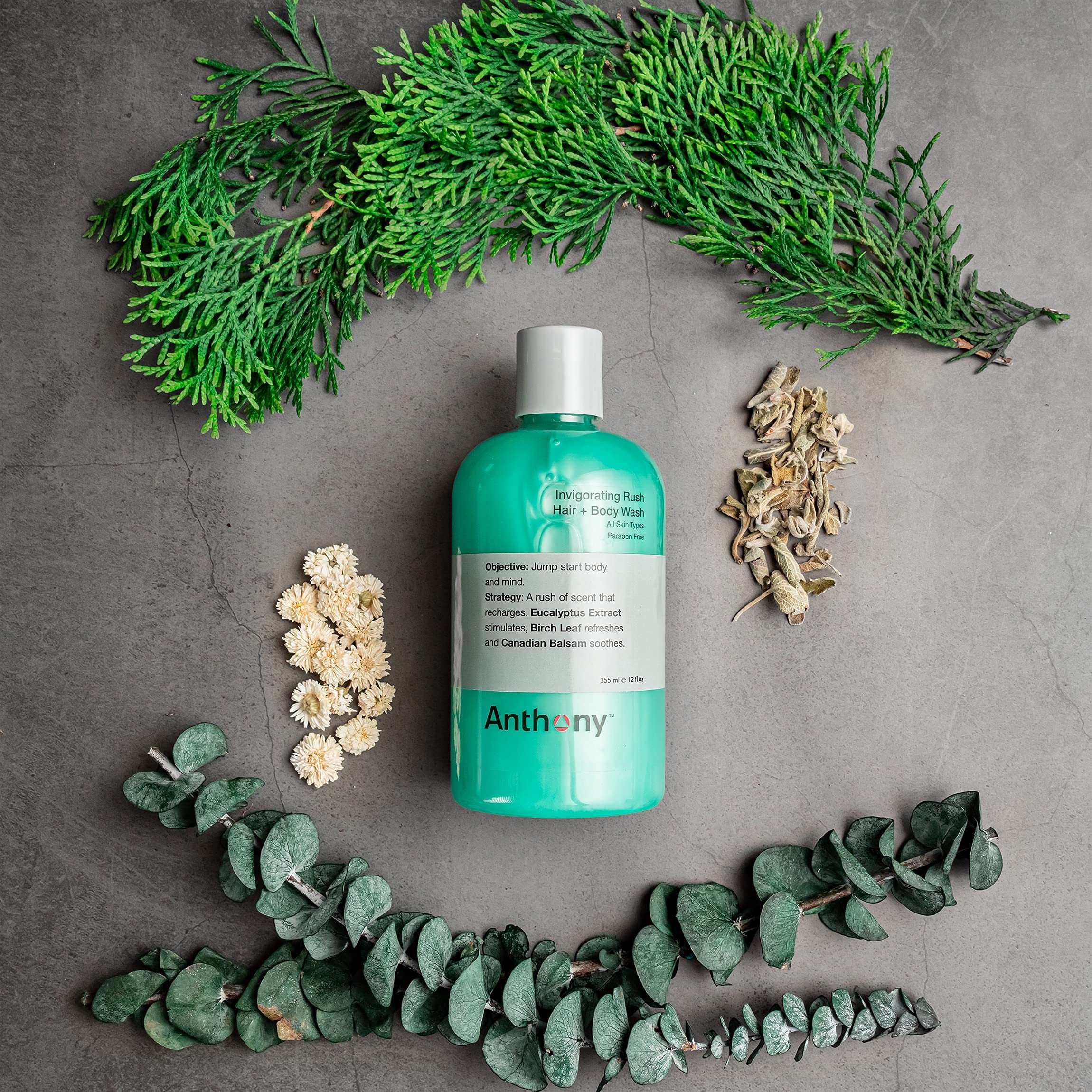 Anthony Mens Body Wash and Shampoo: Invigorating Rush 2-In-1 Liquid Gel Soap & Hair Shampoo - Pine Wood Scent Contains Eucalyptu