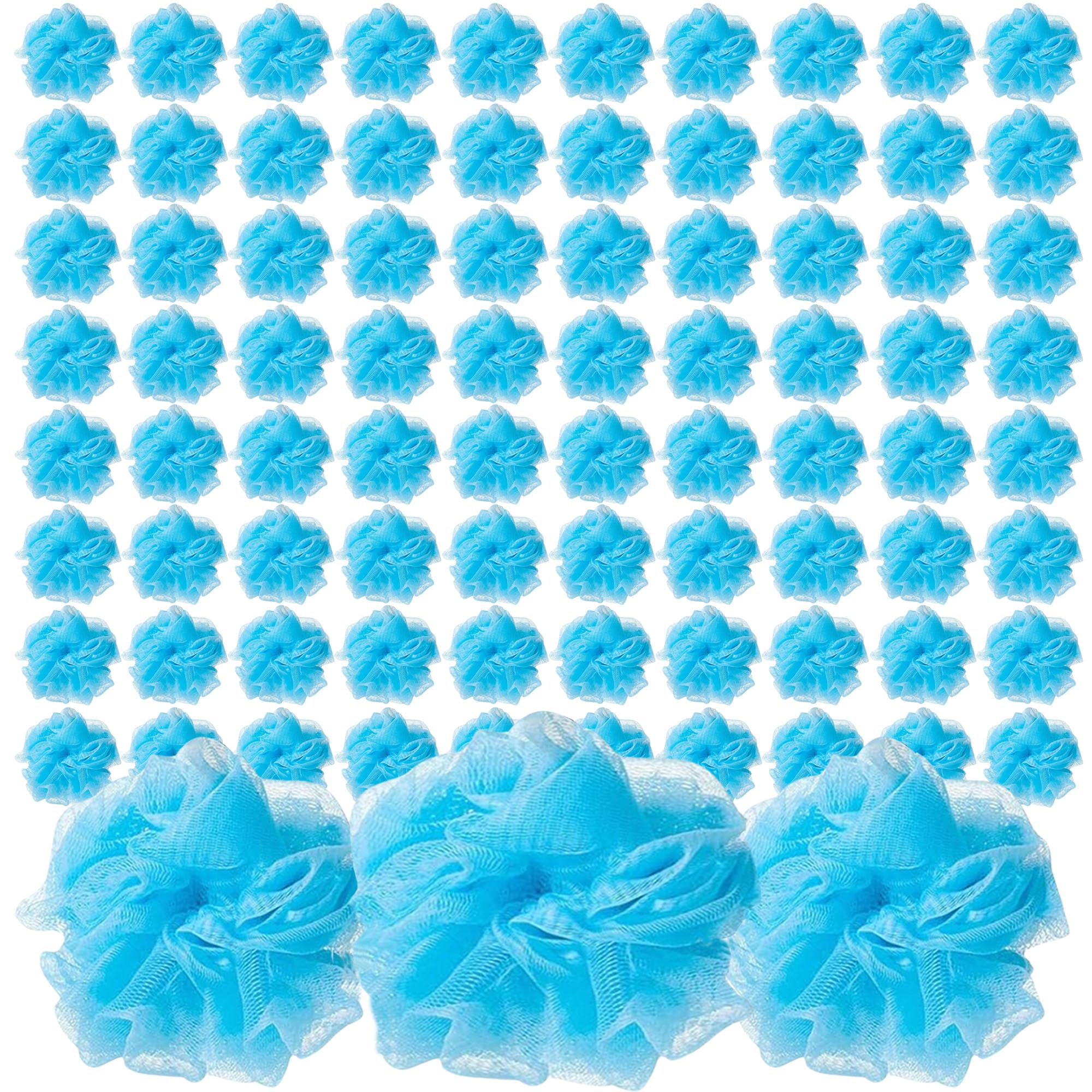 Loofah Lord 12 Blue Bath Or Shower Sponge Loofahs Pouf Mesh Wholesale Bulk Lot