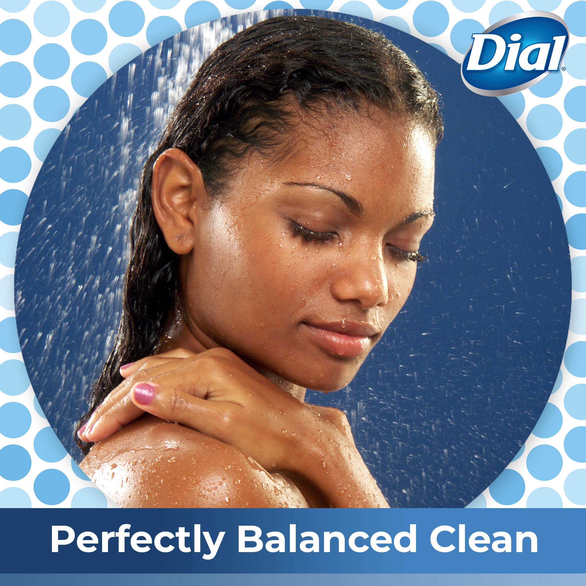 Dial Skin Therapy Replenishing Body Wash, Himalayan Pink Salt & Water Lily 16 Oz (Pack Of 2)