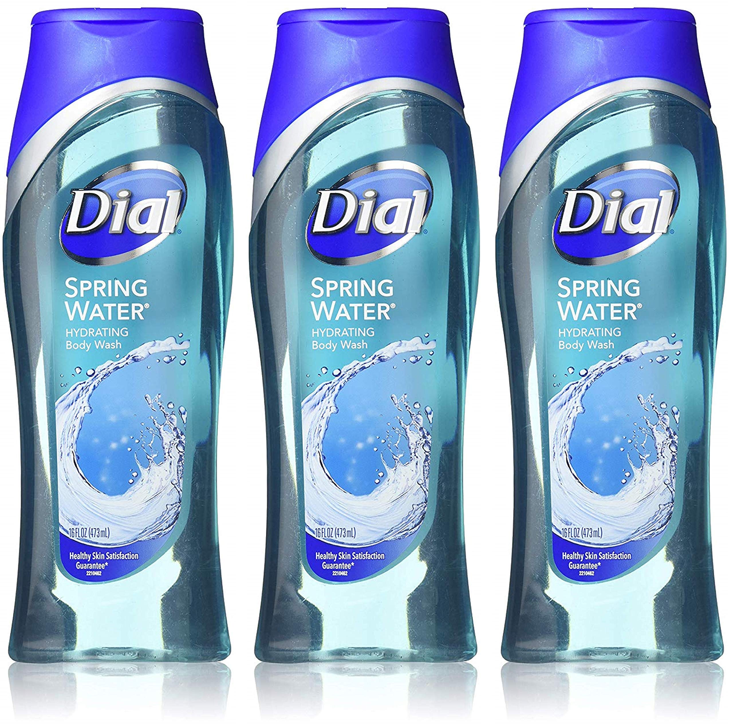 Dial Body Wash Spring Water 16 Ounce Hydrating (473Ml) (Pack Of 3)
