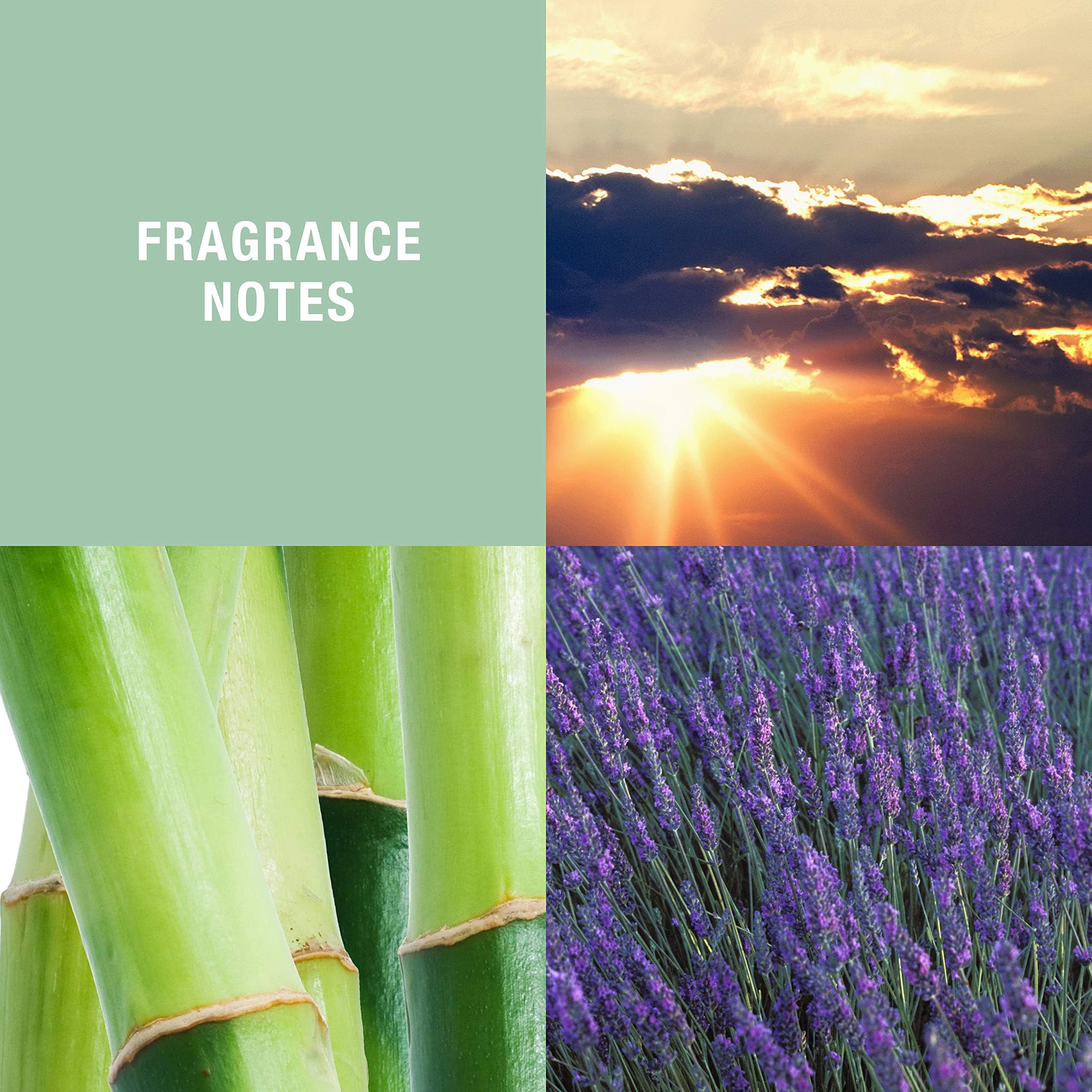 Curve Wave By Liz Claiborne, 4.2 Oz Cologne Spray For Men