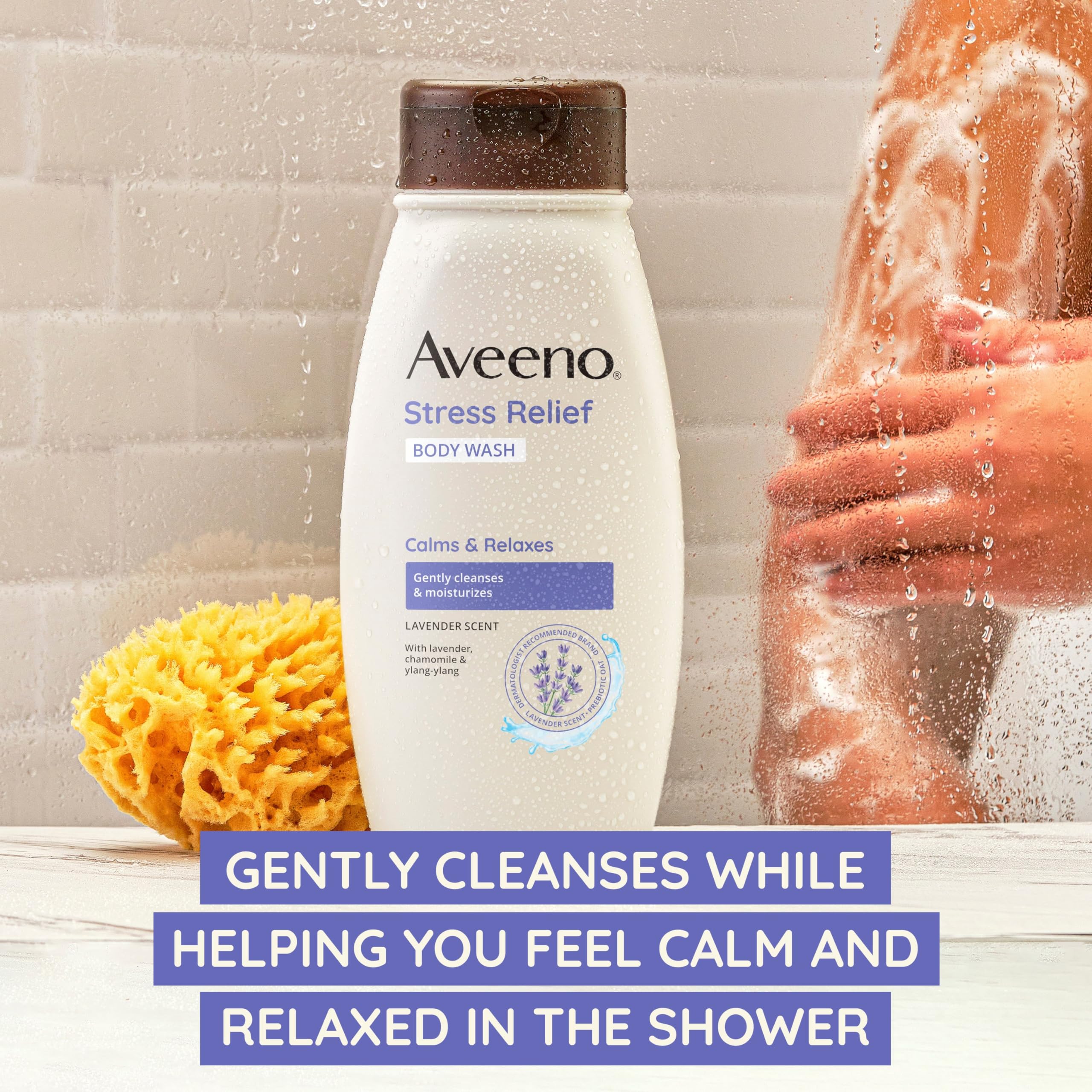 Aveeno Stress Relief Body Wash with Nourishing Oat & Lavender Scent for Sensitive Skin, Gently Cleanses & Helps You Feel Calm &
