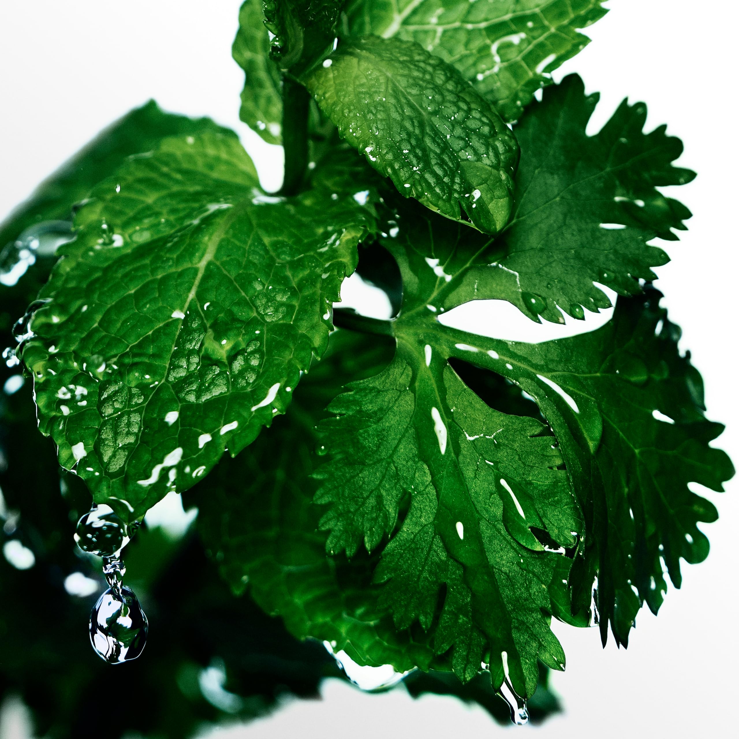 Davidoff Cool Water Man Eau De Toilette 6.7 Fl Oz