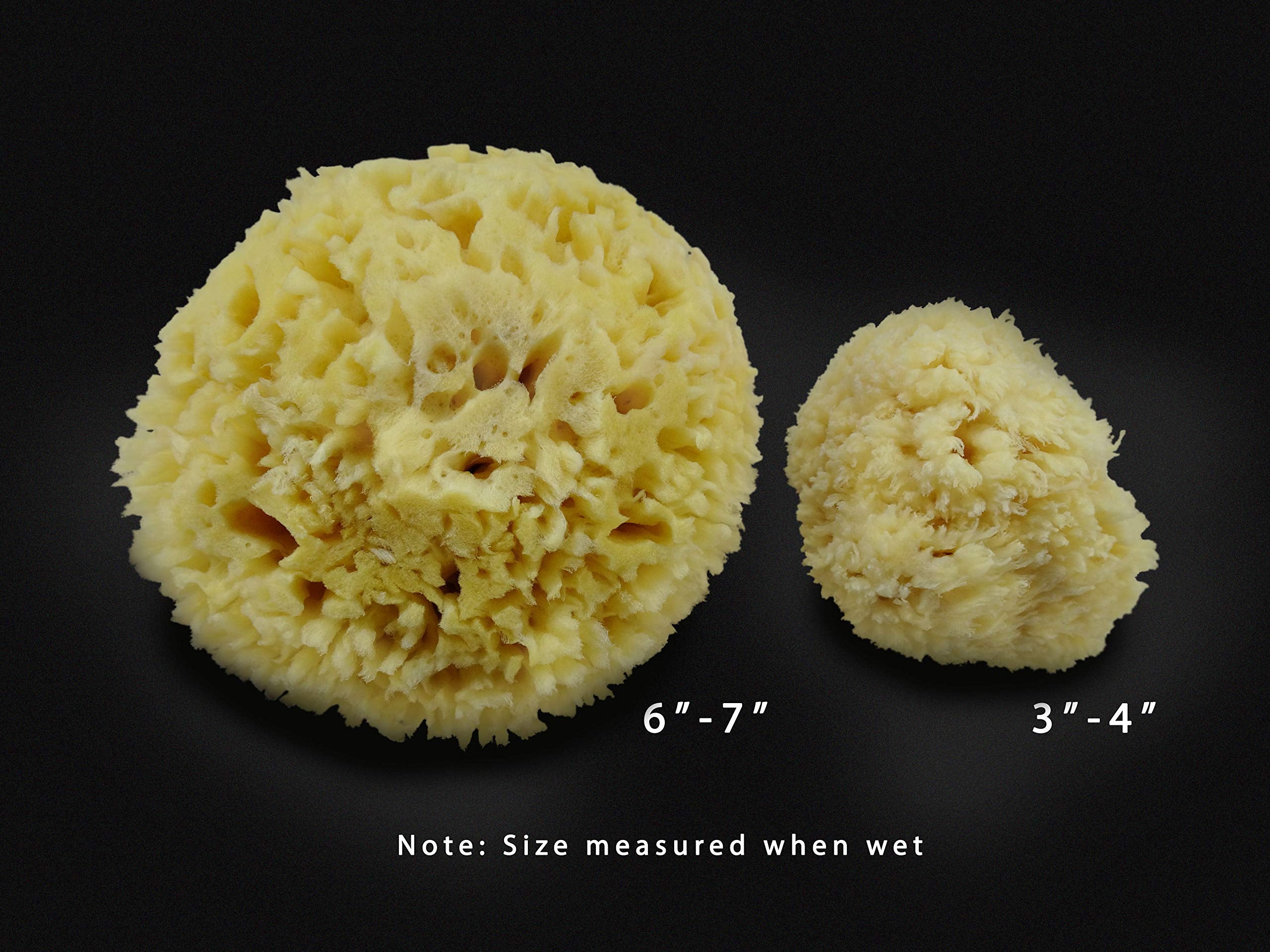 Premium Natural Sea Wool Sponges - 2 Soft Real Sponges 6''-7'' (Large) & 3''- 4'' (Medium); Perfect Luxury Gift For Bath, Shower