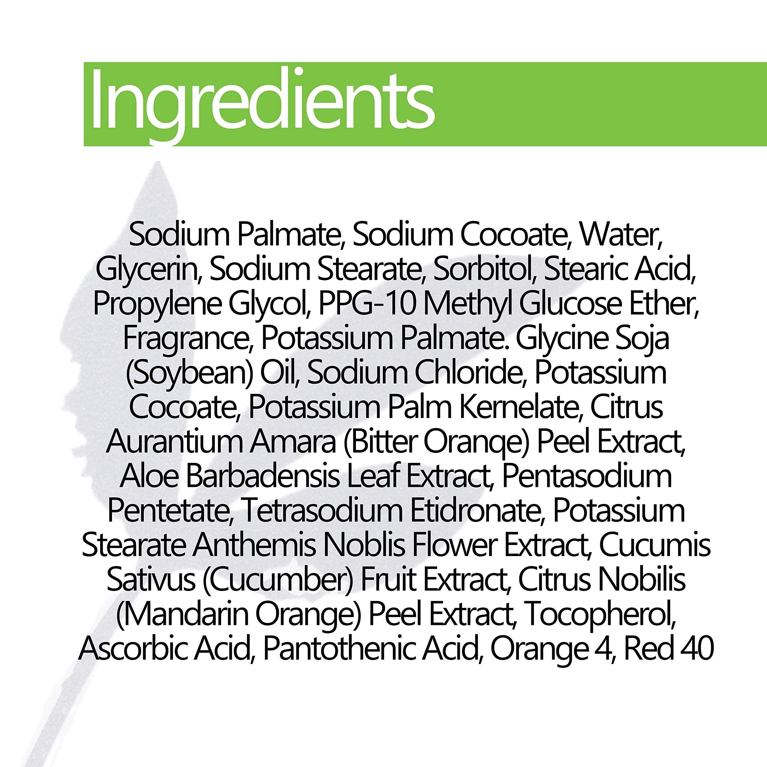Basis Vitamin Bar Soap - Body Wash Bar Cleans and Softens with Vitamin C, E, and B5 - 4 oz. Bar