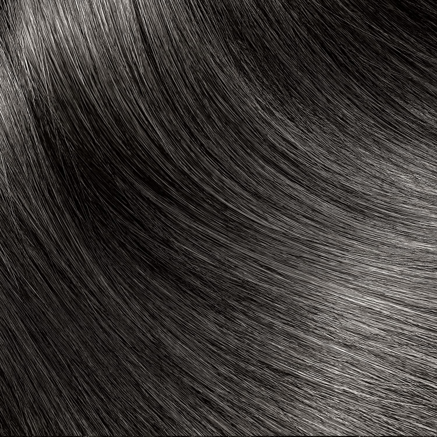 Ion 2N Darkest Brown Permanent Creme Hair Color 2N Darkest Brown