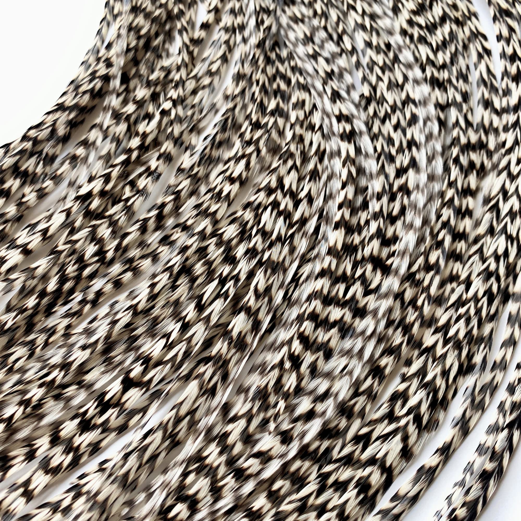 Hair Feathers Kit, 20 Long Feather Extensions with beads and loop tool kit, Black and White Striped,100% Real Rooster Feather Ac
