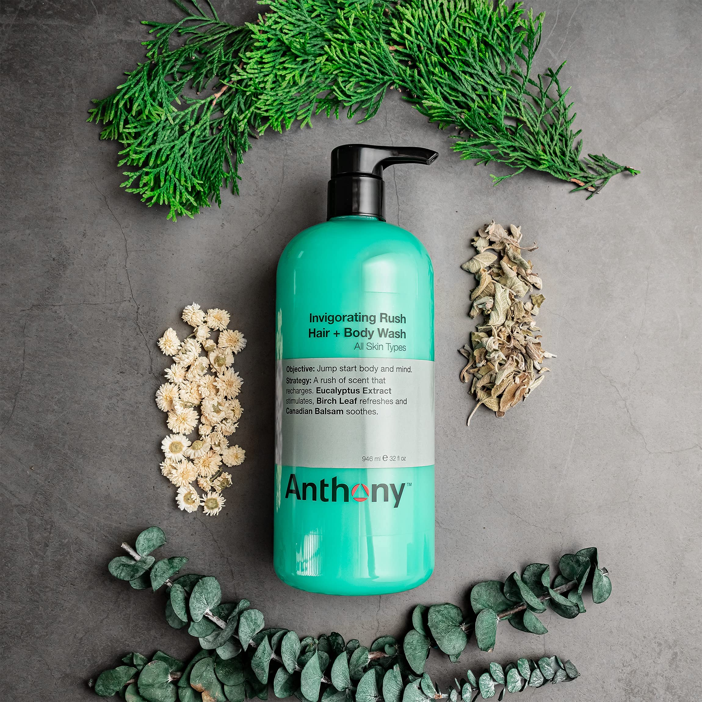 Anthony Mens Body Wash and Shampoo: Invigorating Rush 2-In-1 Liquid Gel Soap & Hair Shampoo, Pine Wood Scent, Hydrating with Euc