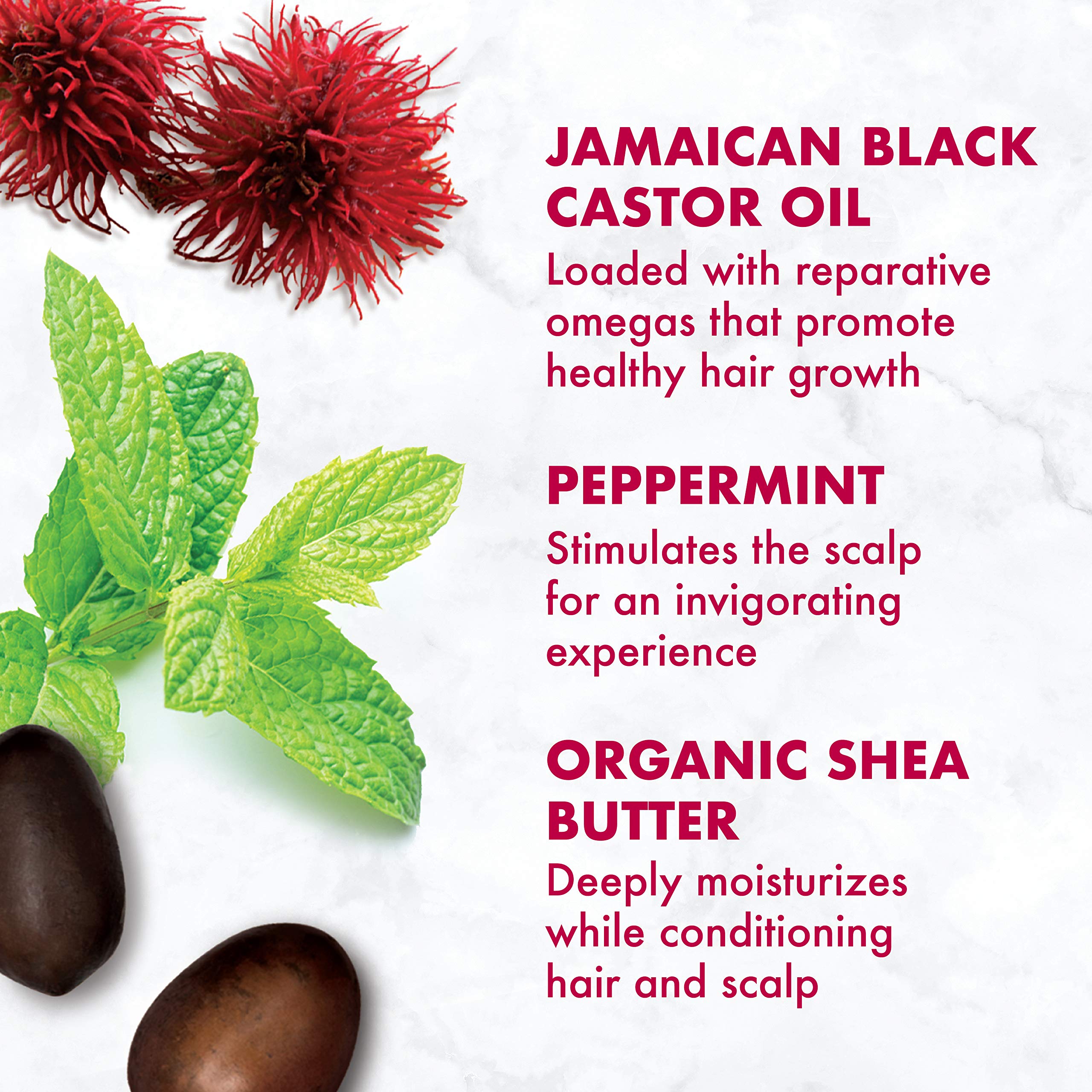 Shea Moisture Jamaican Black Castor Oil Smoothie, 12 Ounce
