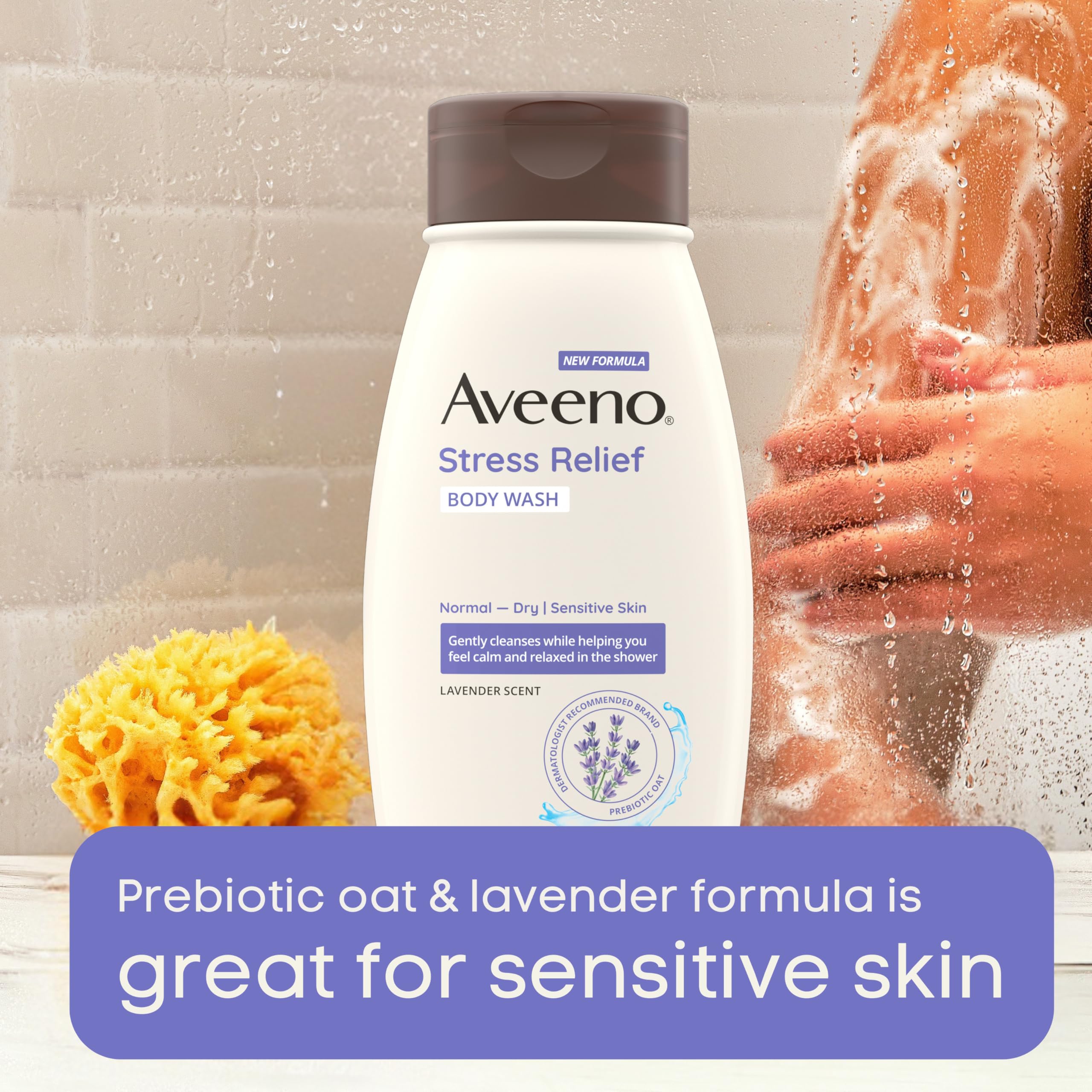 Aveeno Body Wash Stress Relief 18 Ounce (532ml) (3 Pack)