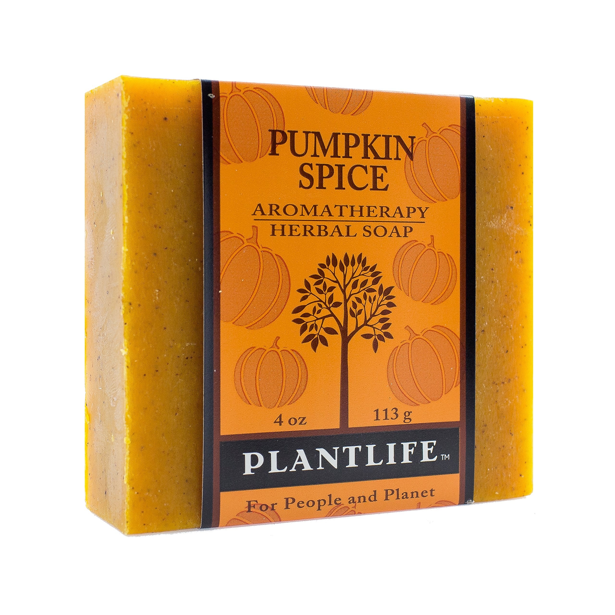 Plantlife Pumpkin Spice Bar Soap - Moisturizing And Soothing Soap For Your Skin - Hand Crafted Using Plant-Based Ingredients - M