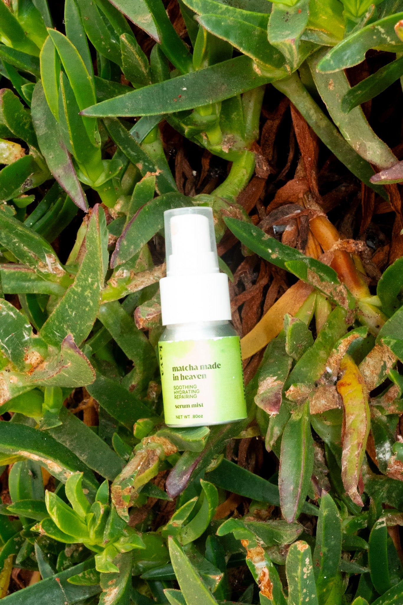Matcha Made in Heaven Serum Mist