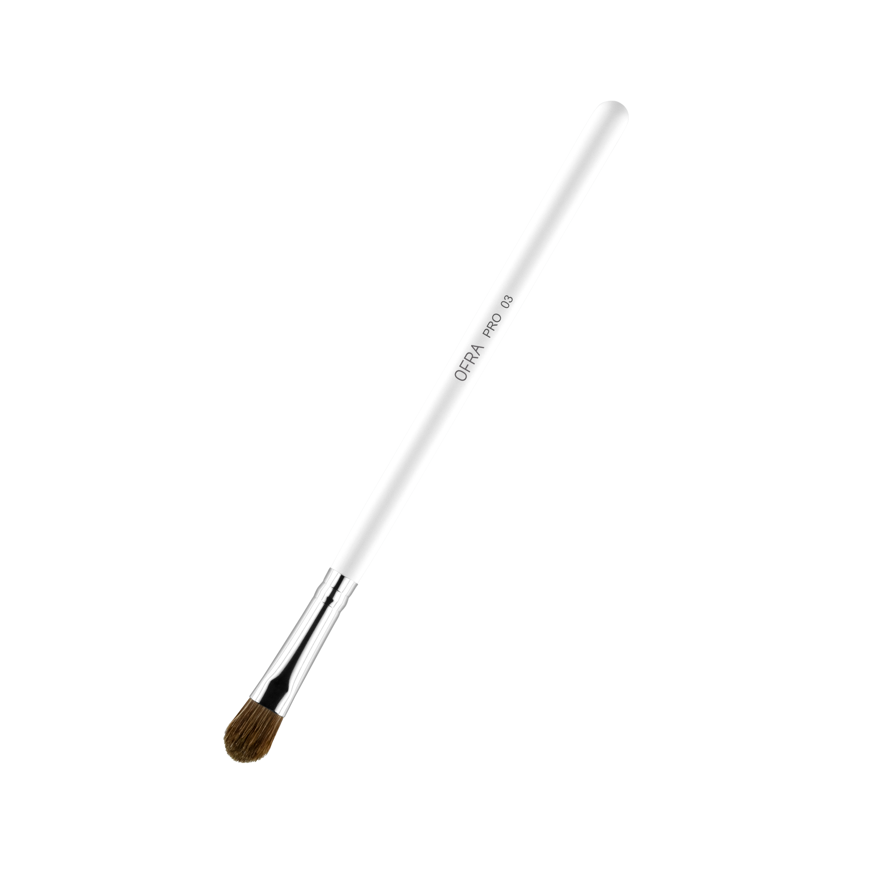 Brush #3 - Eyeshadow