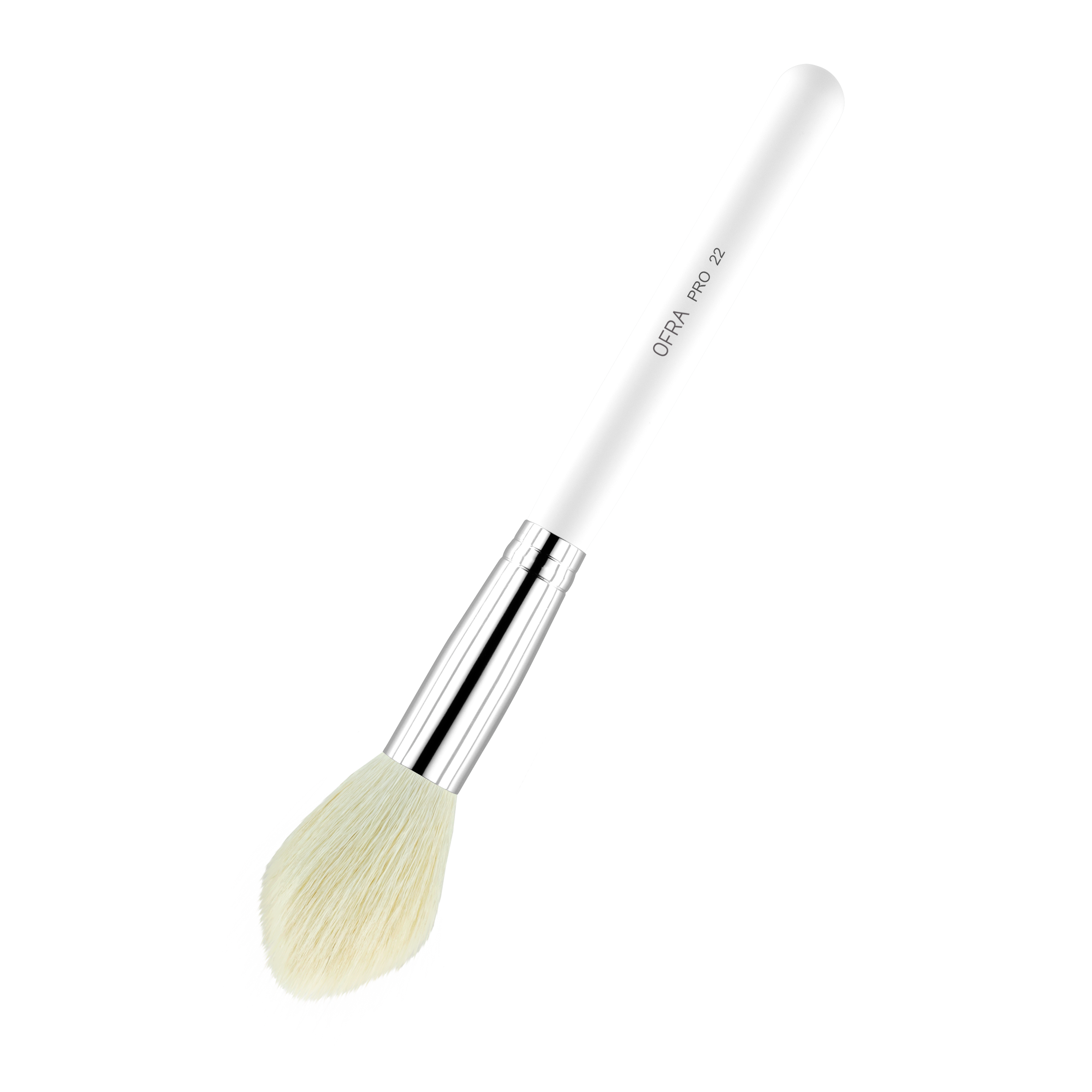 Brush #22 - Blush Brush
