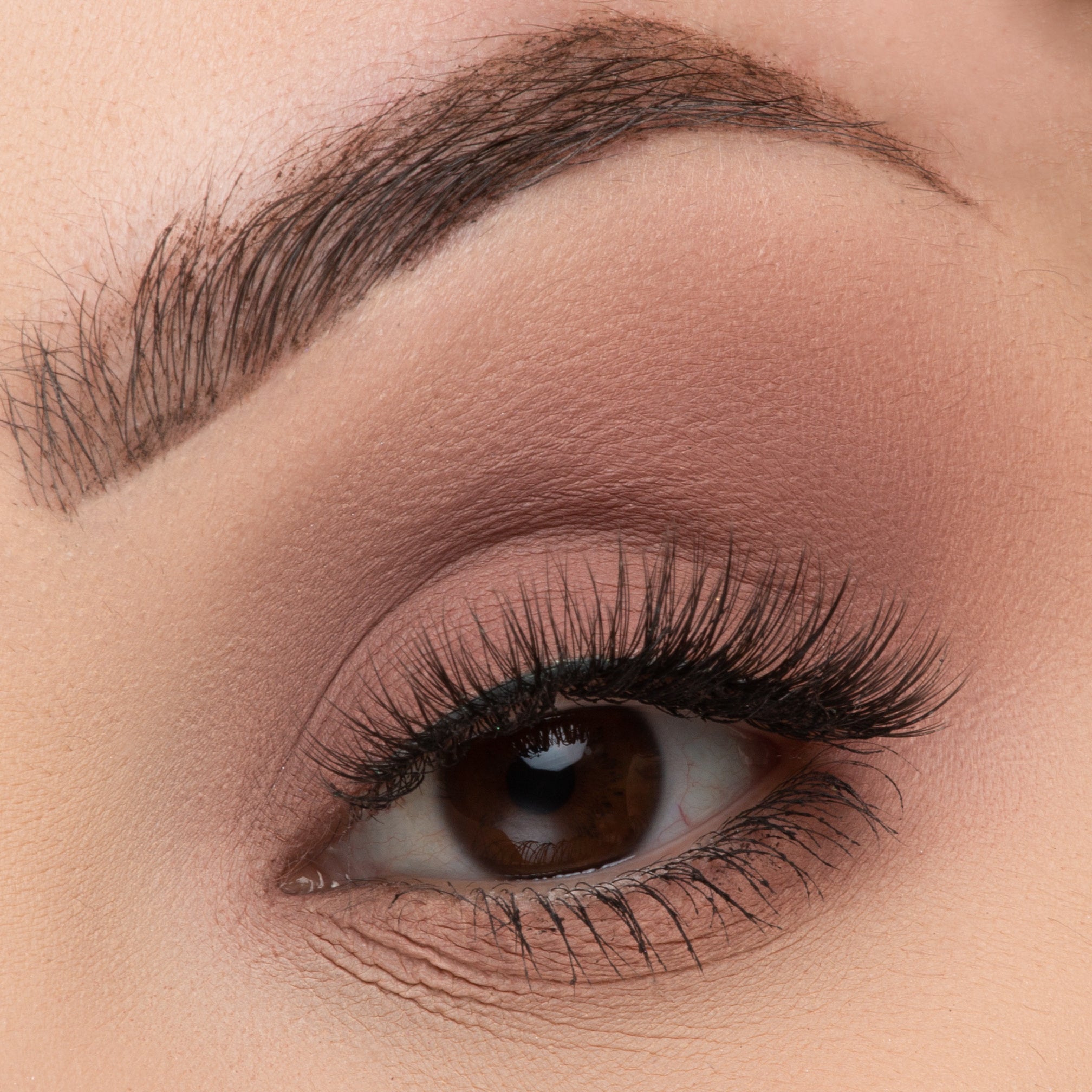Mini Mix Face Palette - Life's A Draft